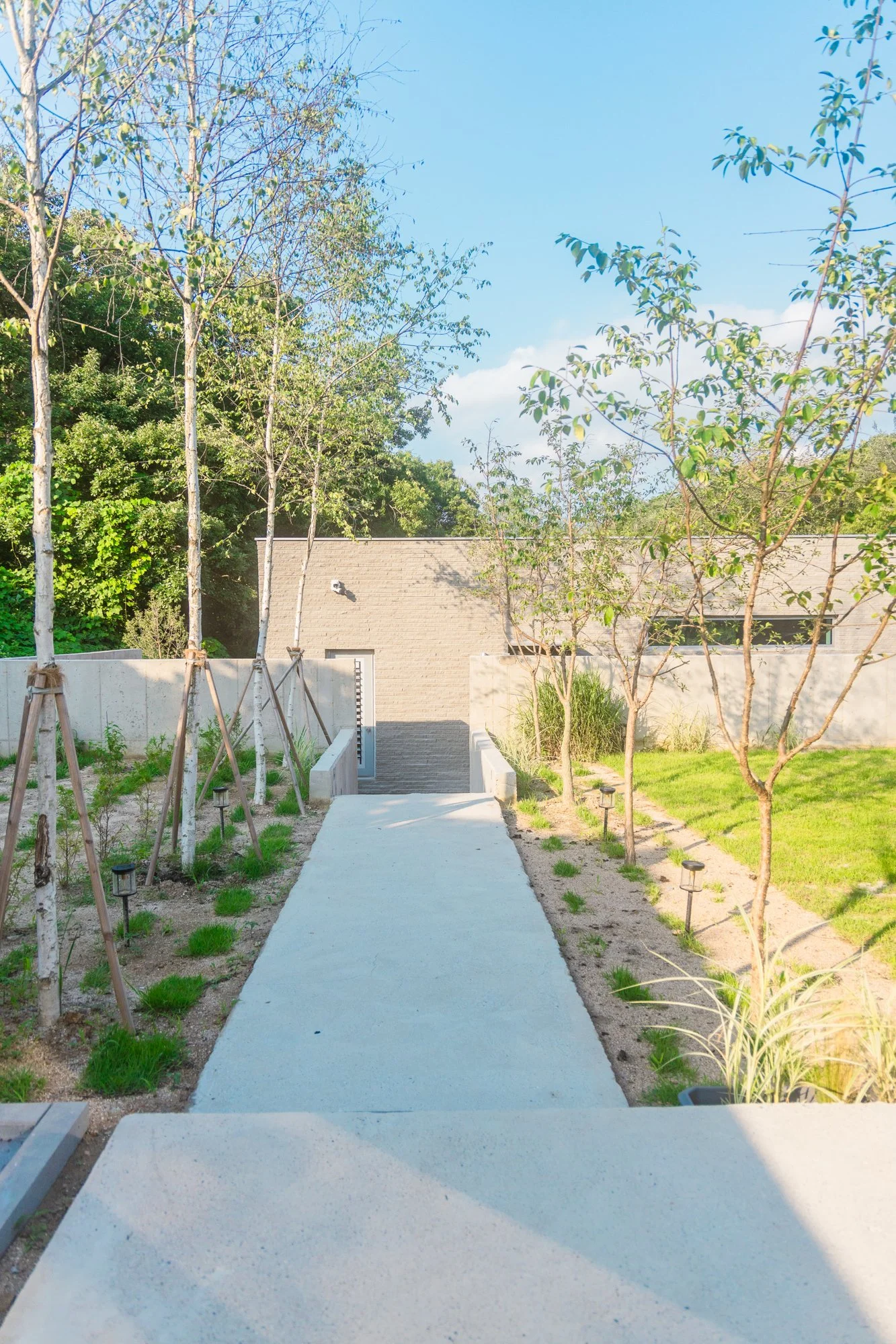 A modern outdoor garden with a concrete walkway, small trees on both sides, and green grass on the right, with a gray building and a staircase at the end of the walkway under a blue sky.
