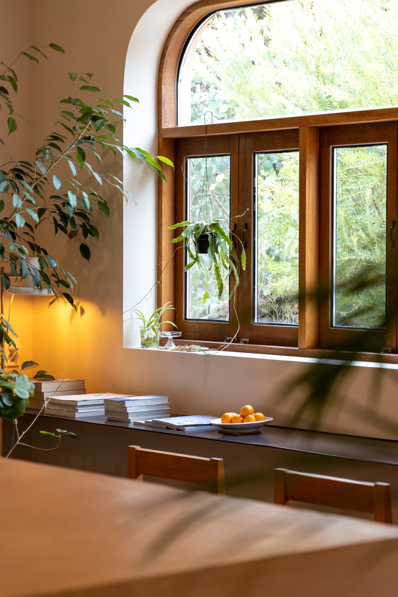 Sunlit interior space with a wooden window frame, potted plants on the window sill, and a table with a bowl of small oranges.