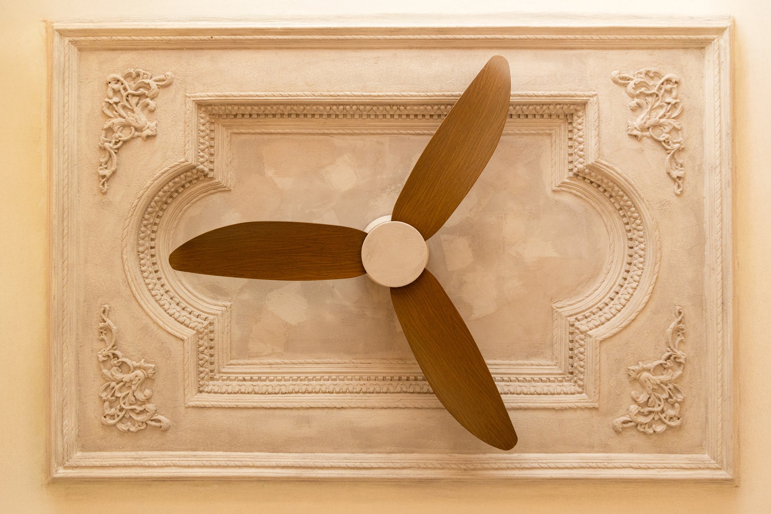 Ceiling with ornate border and decorative moldings, featuring a wooden ceiling fan with three blades.