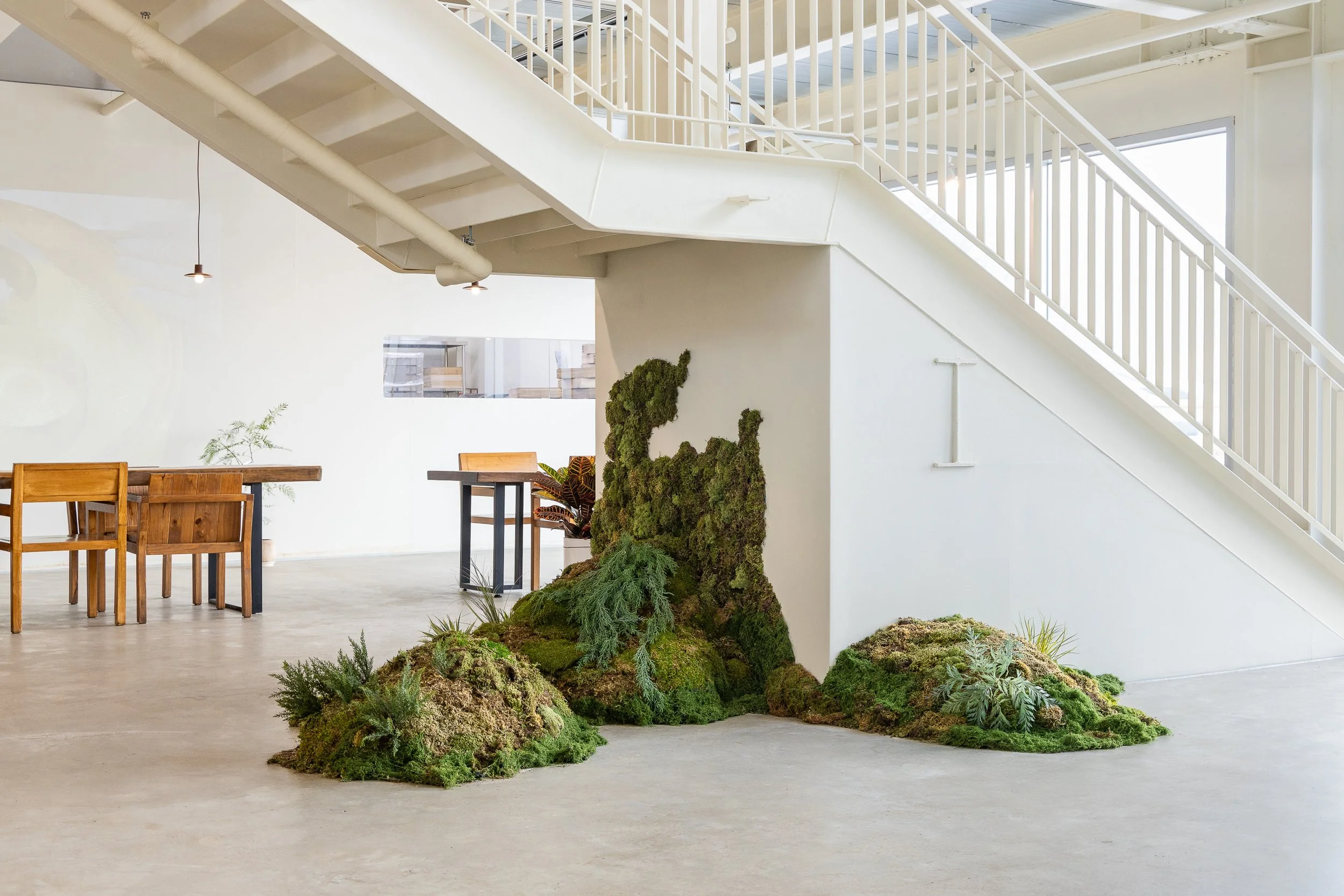 Indoor space with white walls, wooden tables and chairs, and a staircase. There is a moss and plant arrangement on the ground near the wall under the staircase.