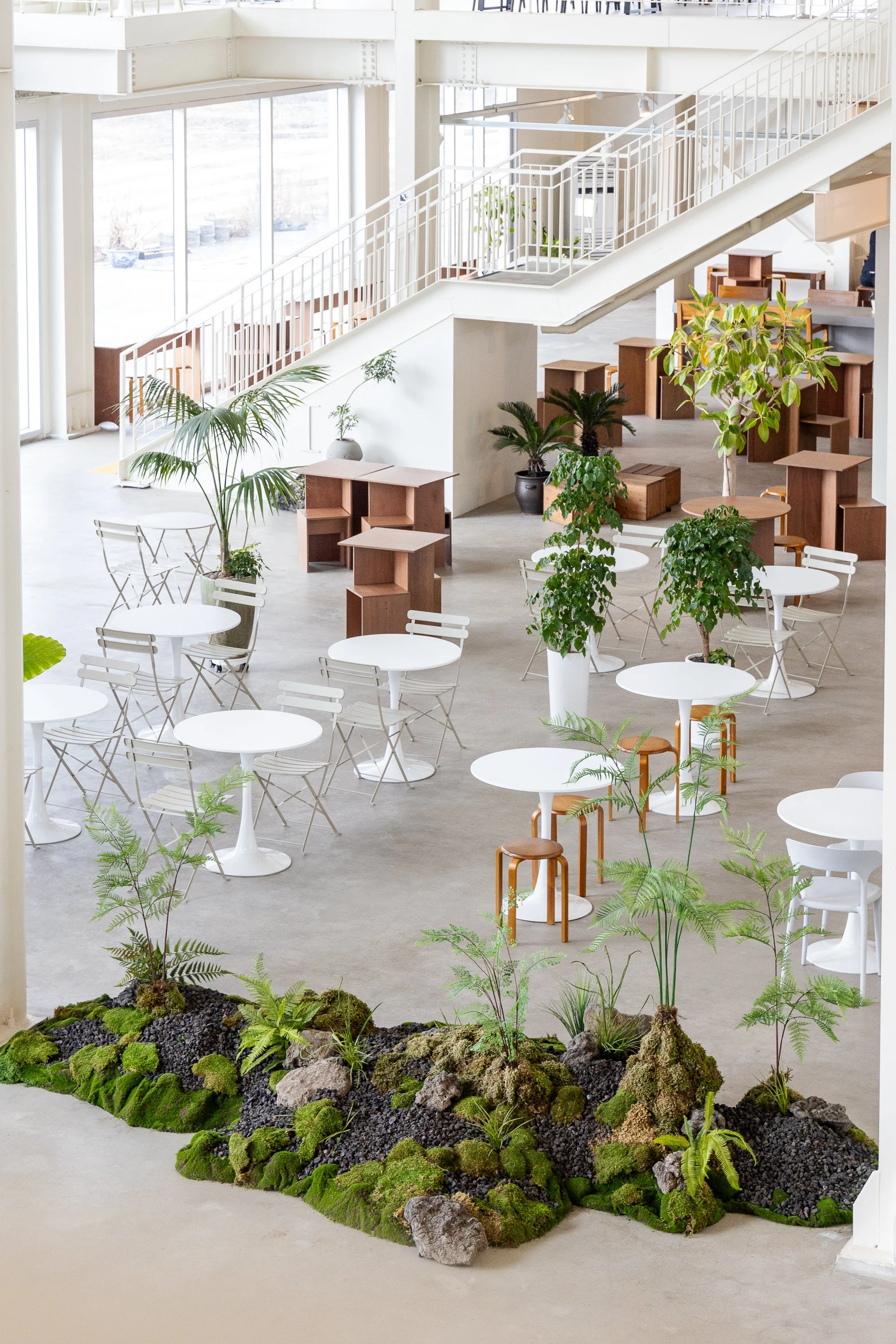 Interior of a modern, minimalist cafe or lounge area with white round tables, white chairs, and various potted plants, including small trees and ferns, with a staircase and natural light coming through large windows.