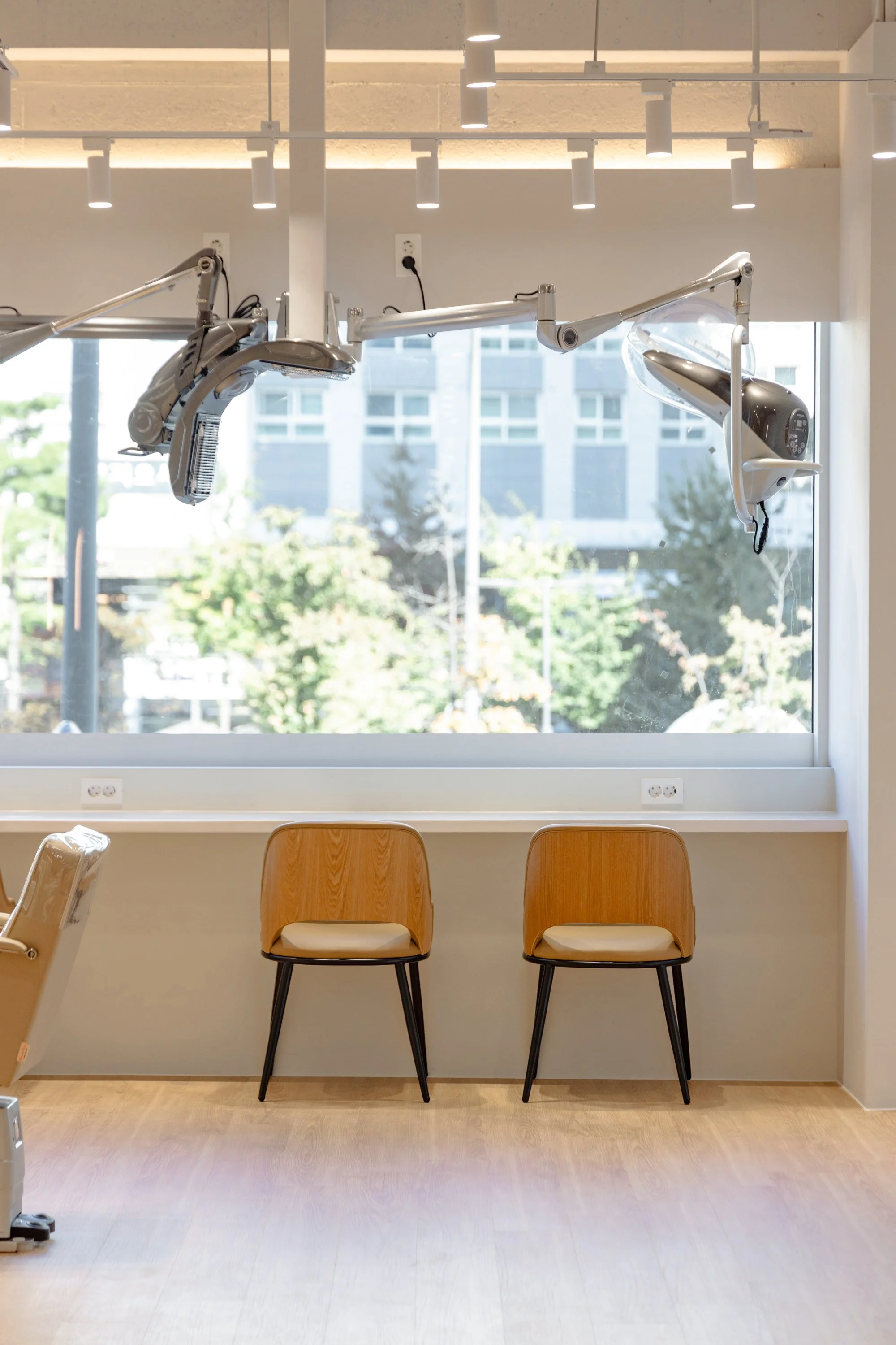 Two wooden chairs are positioned side by side in front of a large window with trees outside. Above the chairs, dental clinical lamps are mounted on the ceiling.
