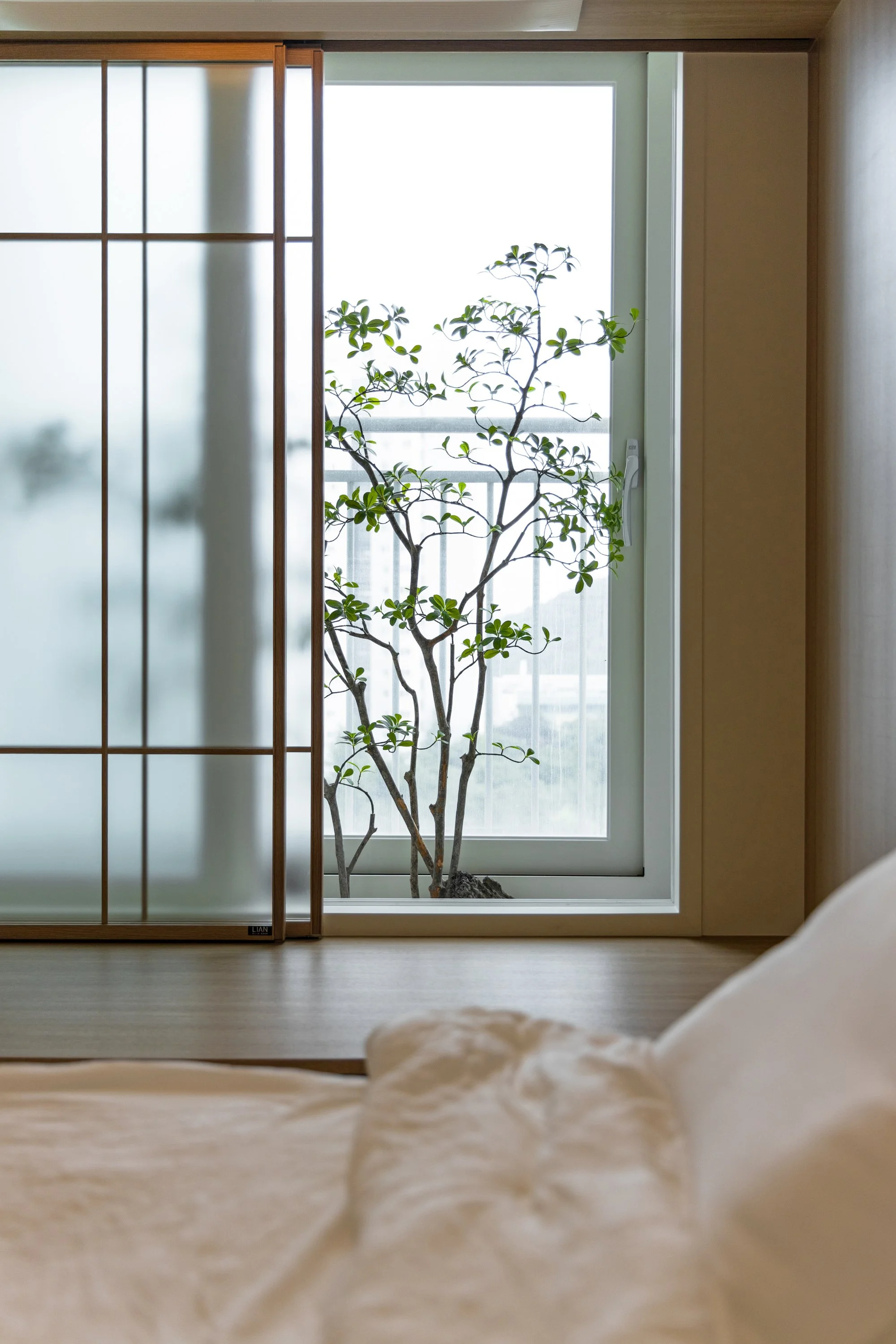 A view of a window with a small tree outside, partially blocked by a traditional Japanese shoji screen, with a bed in the foreground.