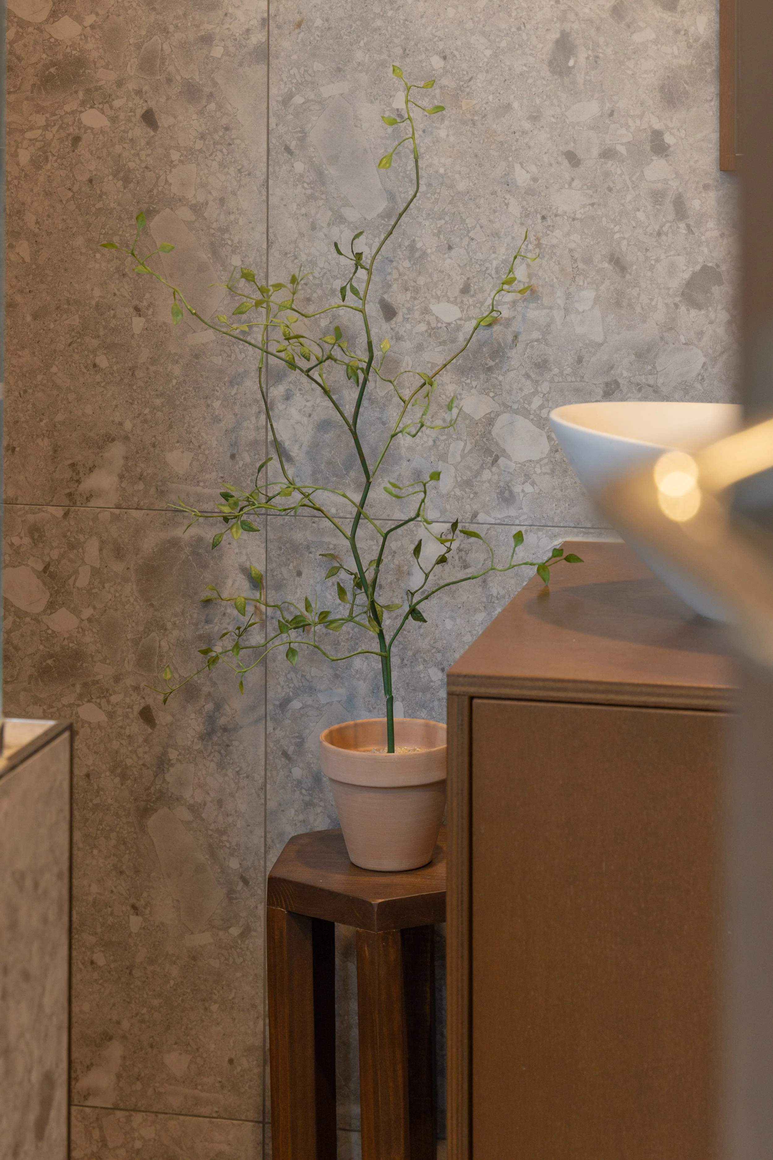 A potted green plant on a wooden stool against a textured stone wall.
