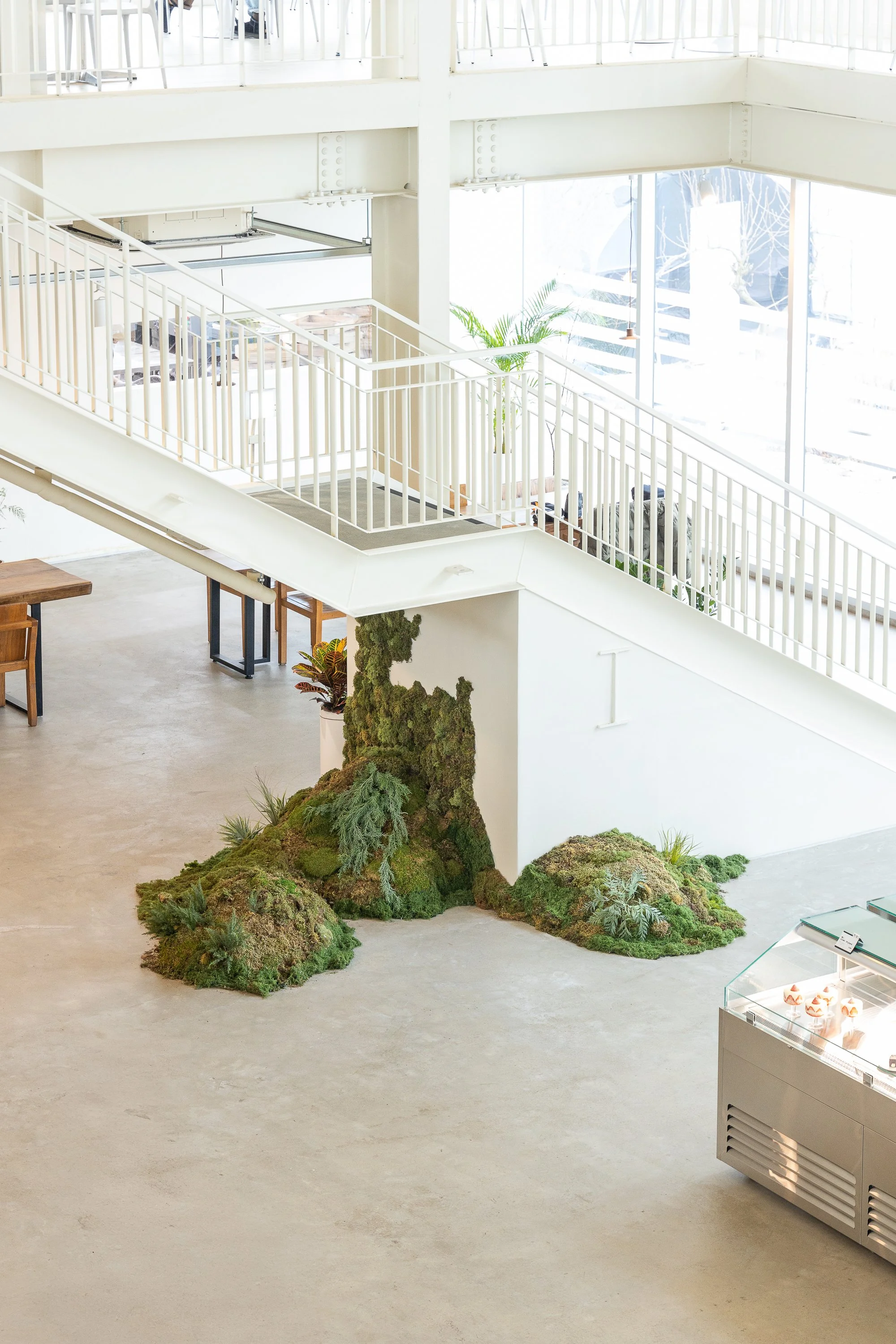 Interior of a modern building with a staircase, a moss and plant installation on the wall, and a glass display case with baked goods.