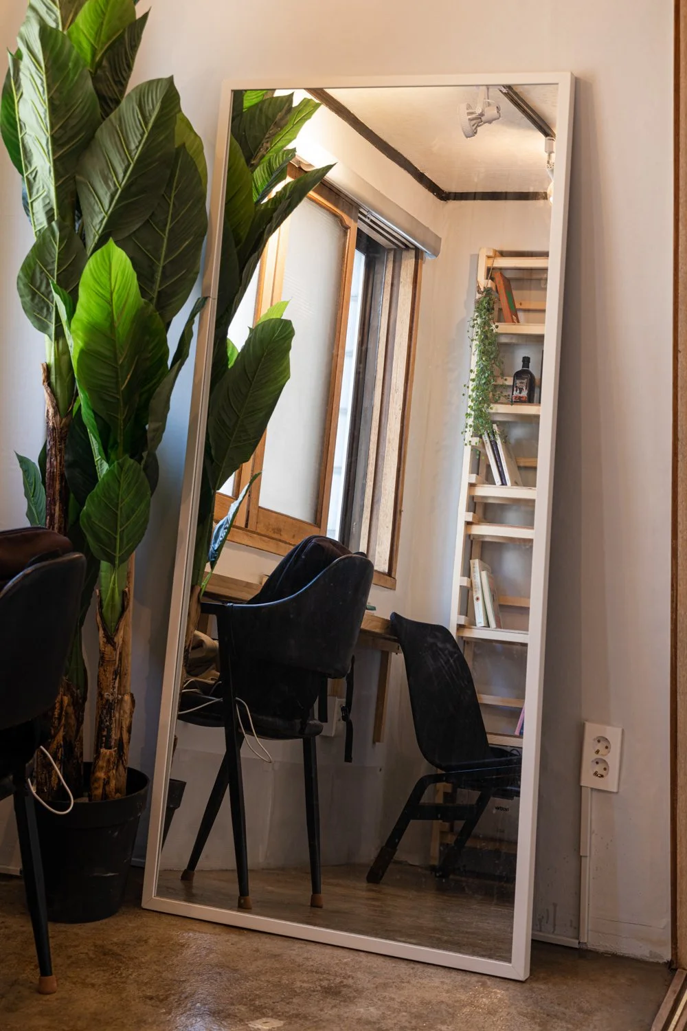A tall mirror leaning against the wall, reflecting a room with a window, bookshelf, and two black chairs with wooden legs. Large green indoor plant stems are visible next to the mirror.