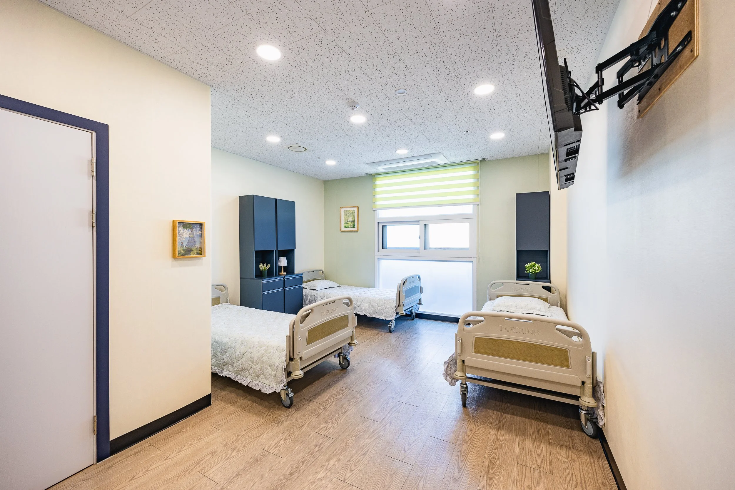 A bright hospital room with four beds, two on the left and two on the right, each with white bedding. There is a window with green blinds at the back, and wall-mounted TV on the right side. Small paintings and potted plants decorate the room, with a 