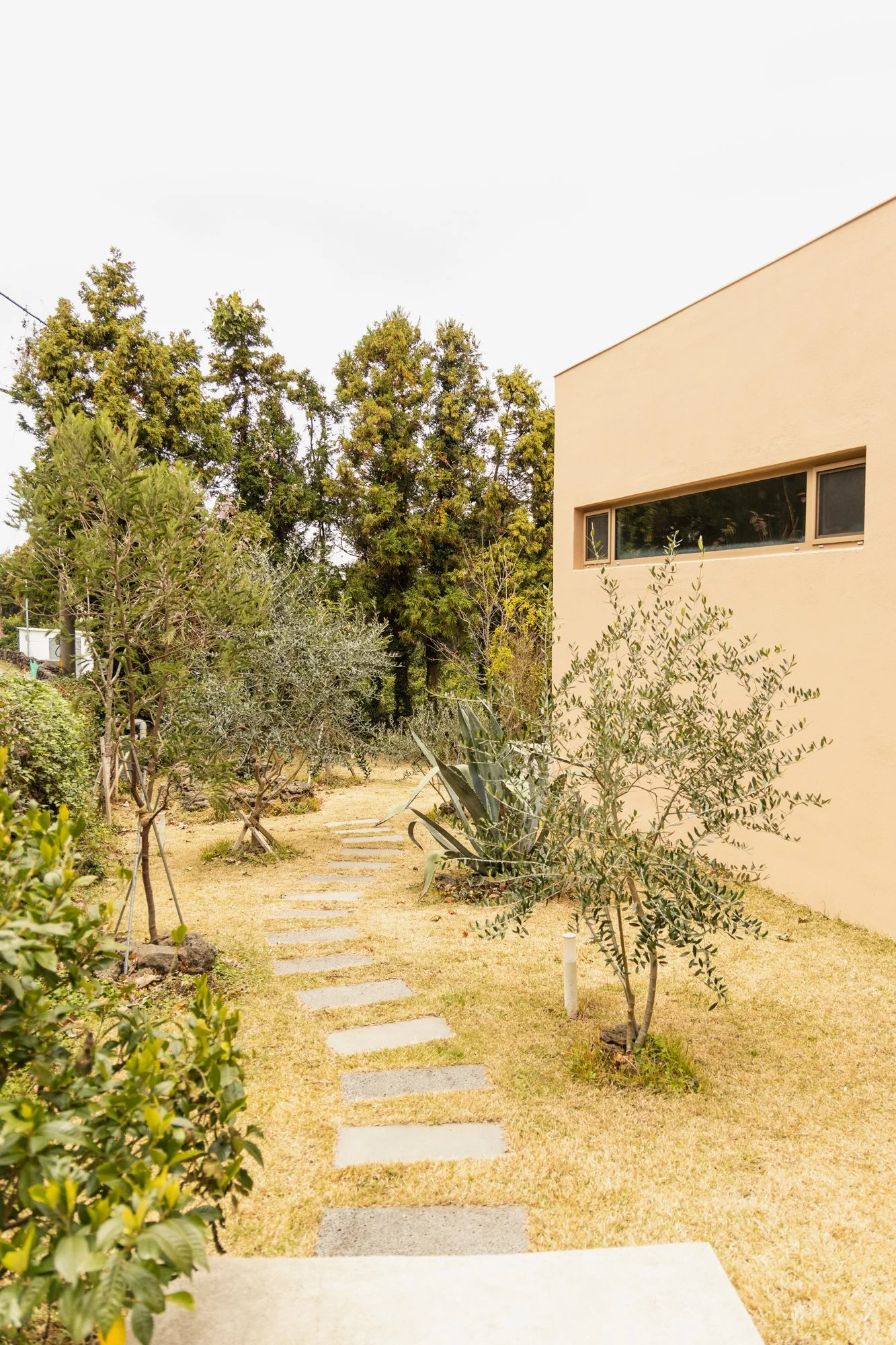 A modern house with a tan exterior wall and narrow horizontal window, surrounded by a garden with small trees, succulents, and a stone pathway, under an overcast sky.