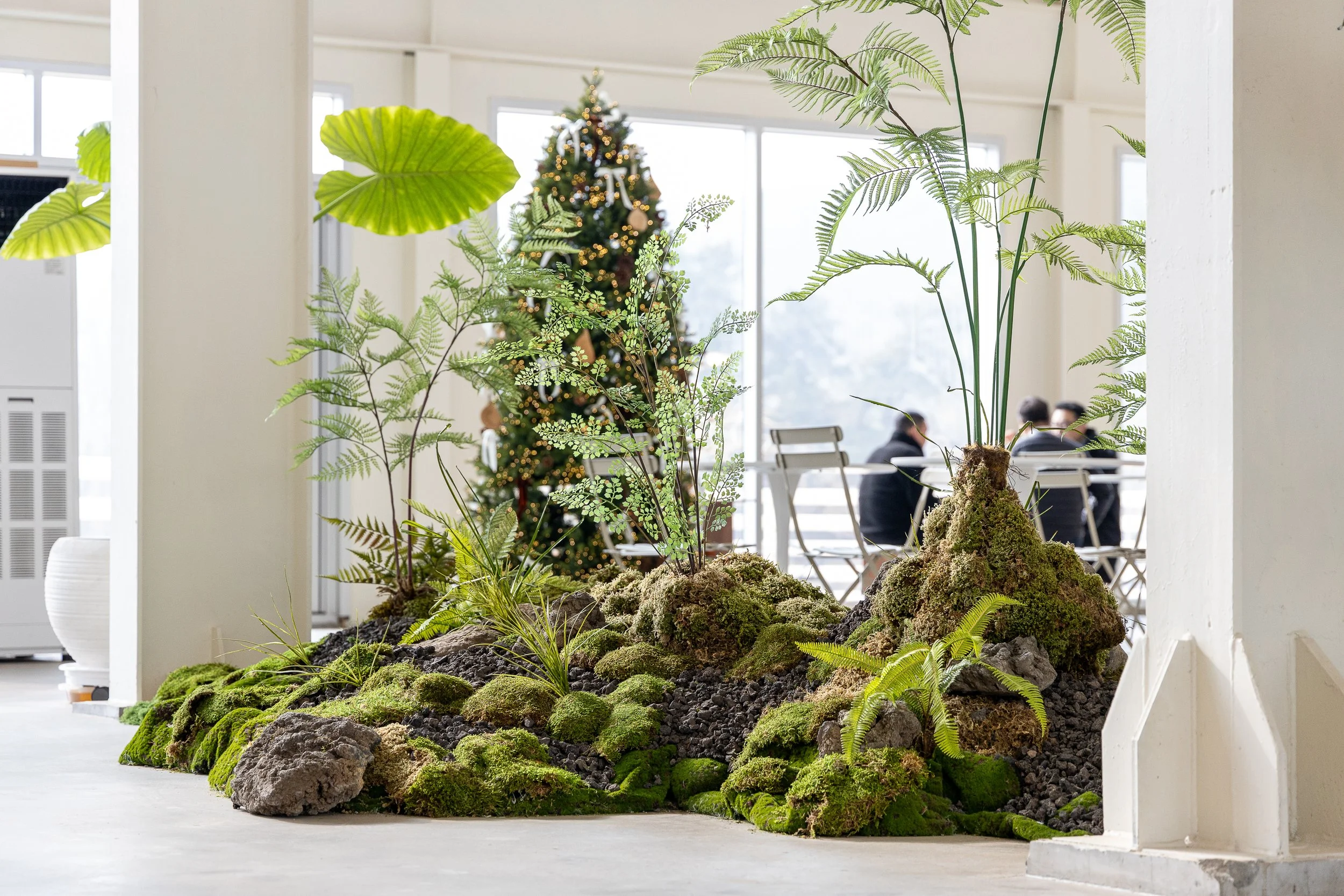 Indoor moss garden with various ferns and plants, decorated Christmas tree in the background, people sitting at a table near large windows.