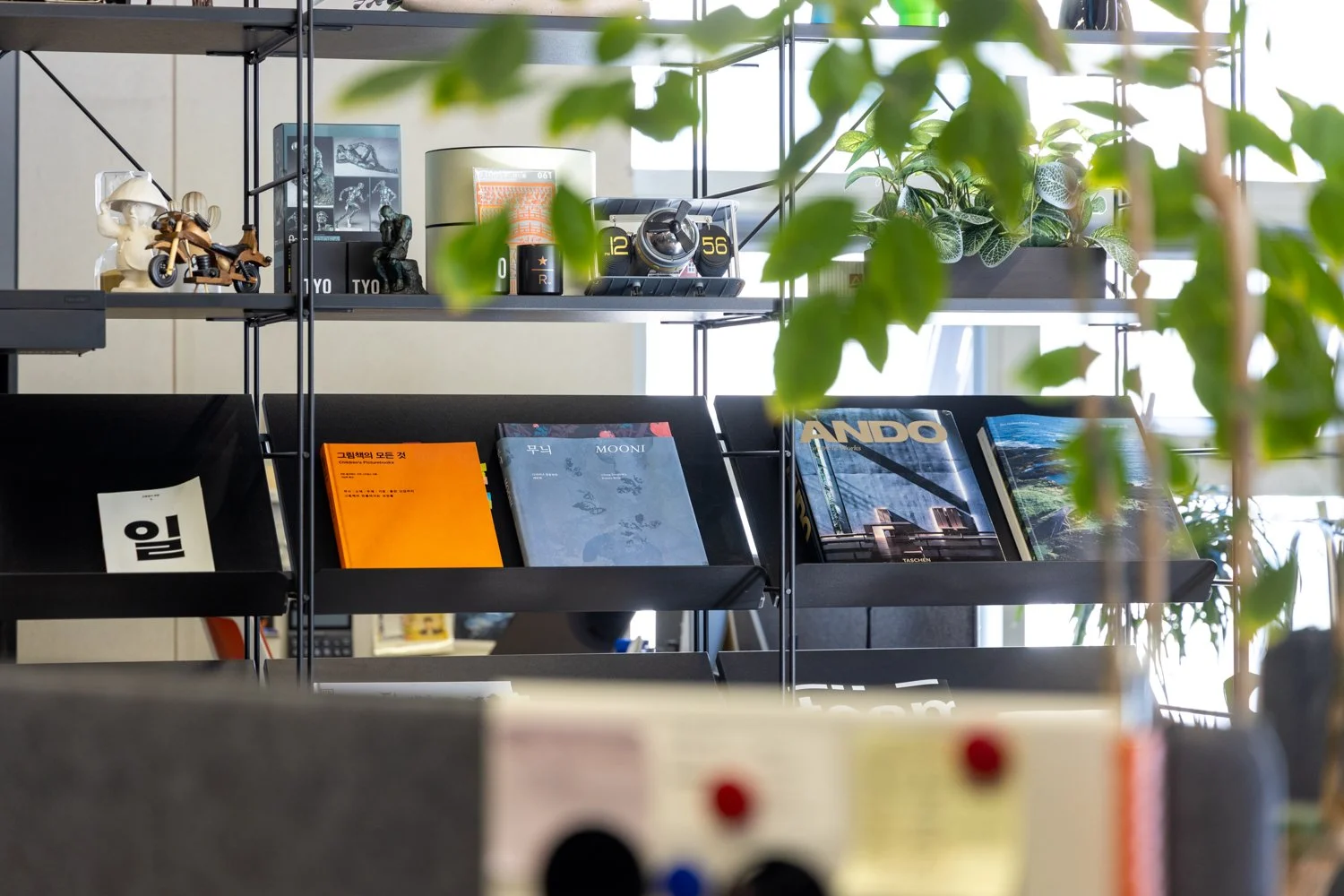 Shelf with decorative items, books, and potted plants in a brightly lit room.
