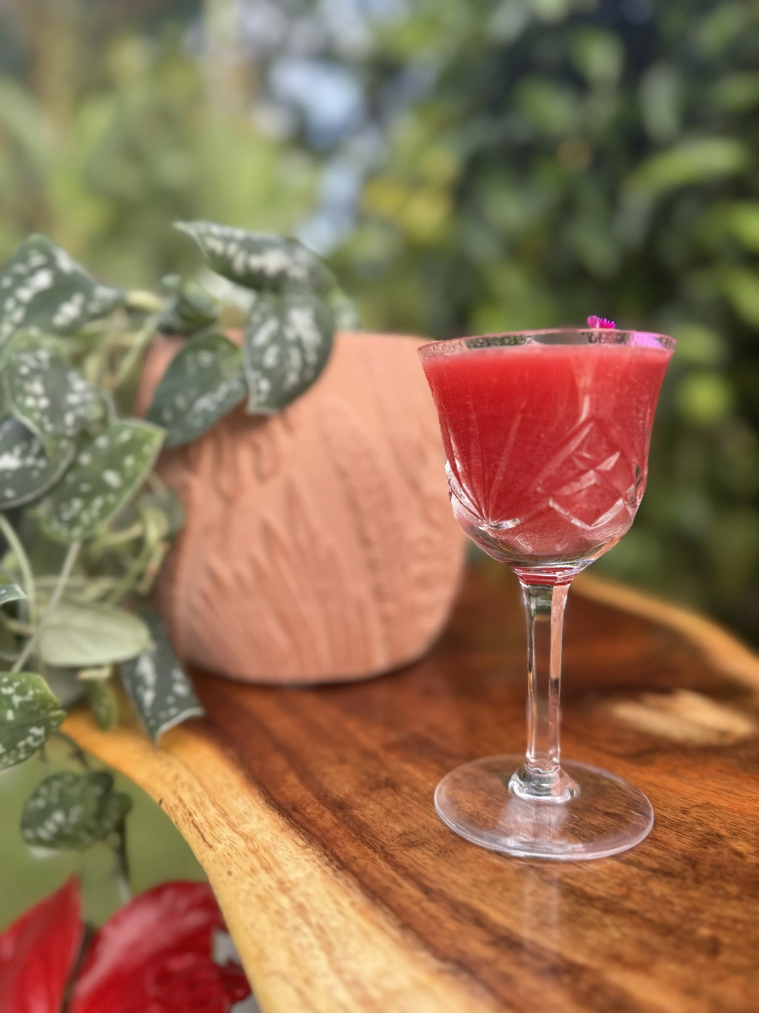 A glass with a red drink topped with a small pink flower, placed on a wooden surface with green plants in the background.