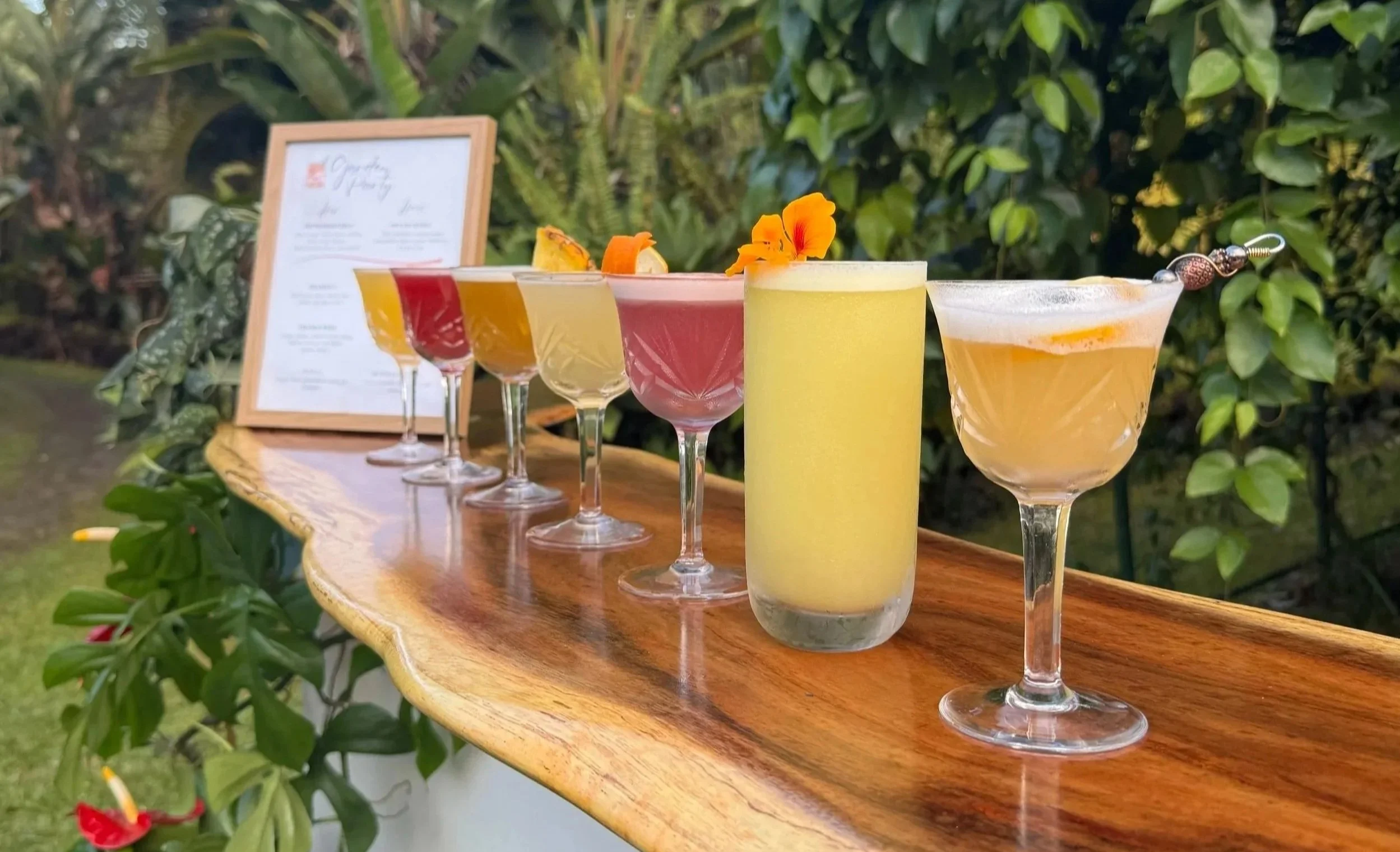 A row of six colorful cocktails with garnishes displayed on a wooden bar table outdoors, with a menu in a frame and green plants in the background.