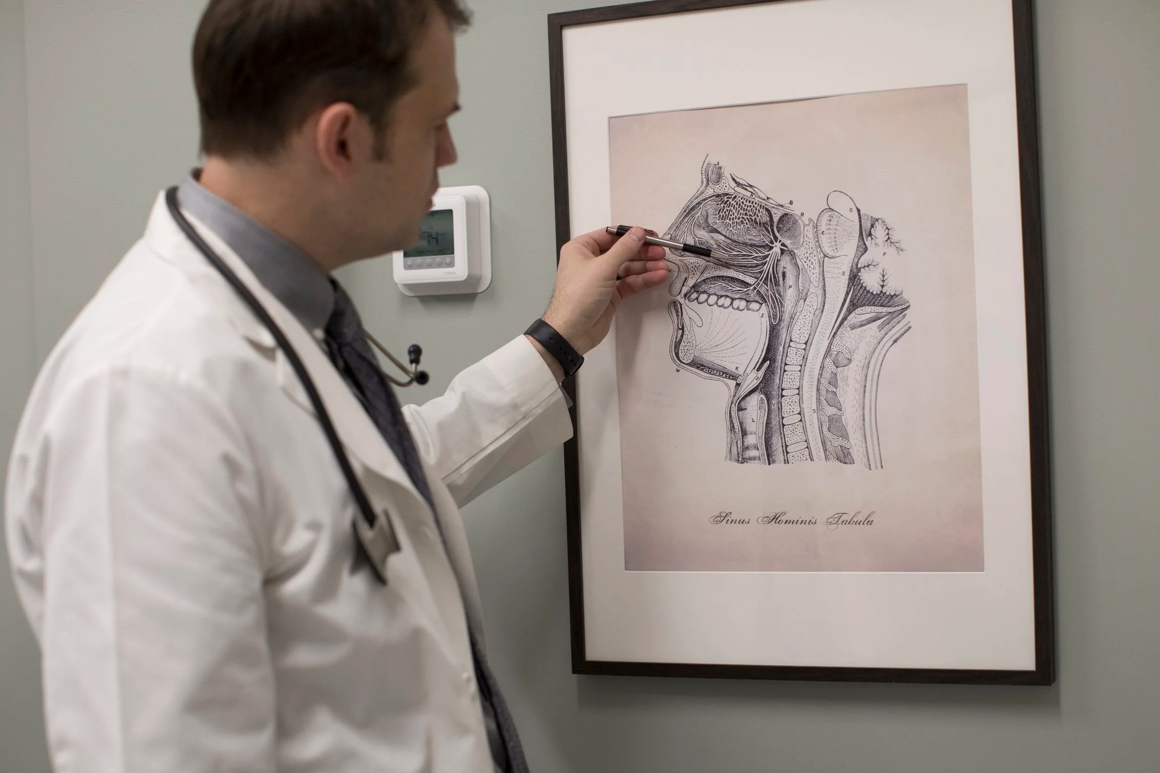 A male doctor in a white coat and stethoscope looking at an anatomical diagram of the human sinus system on a framed poster on the wall.