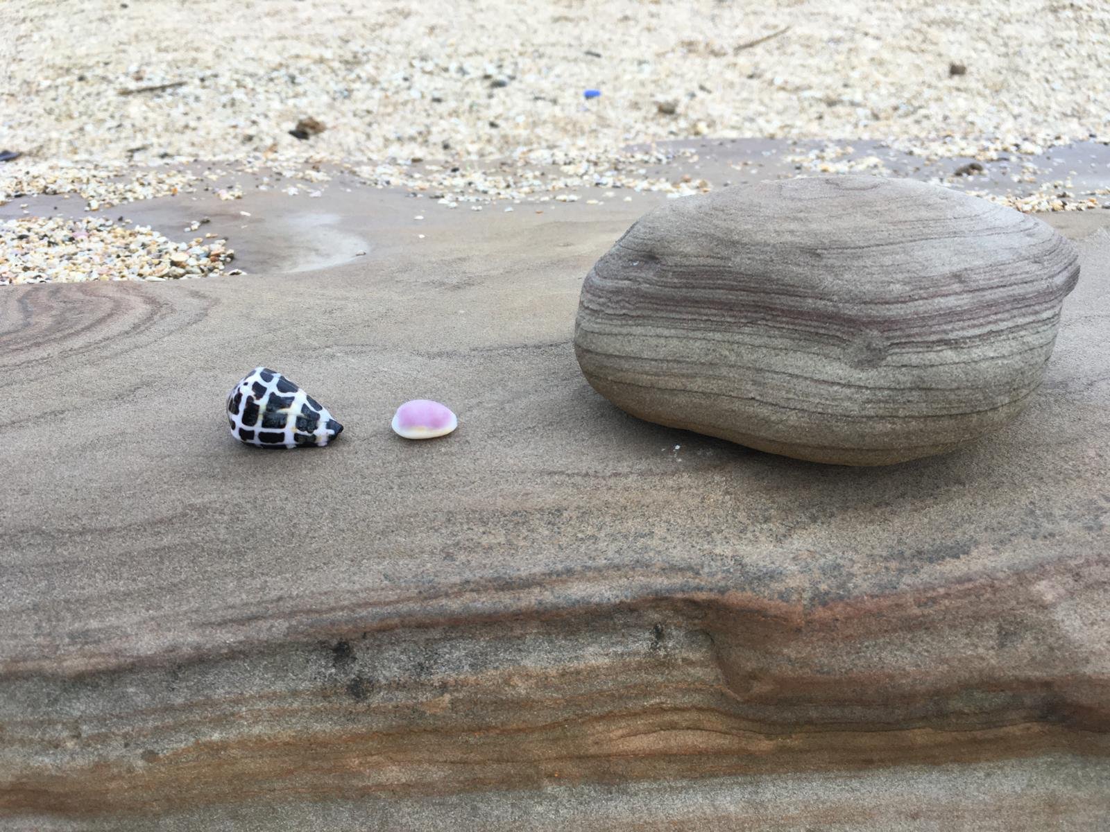 WhatsApp Image 2025-12-23 at 3.52.56 PM.jpeg