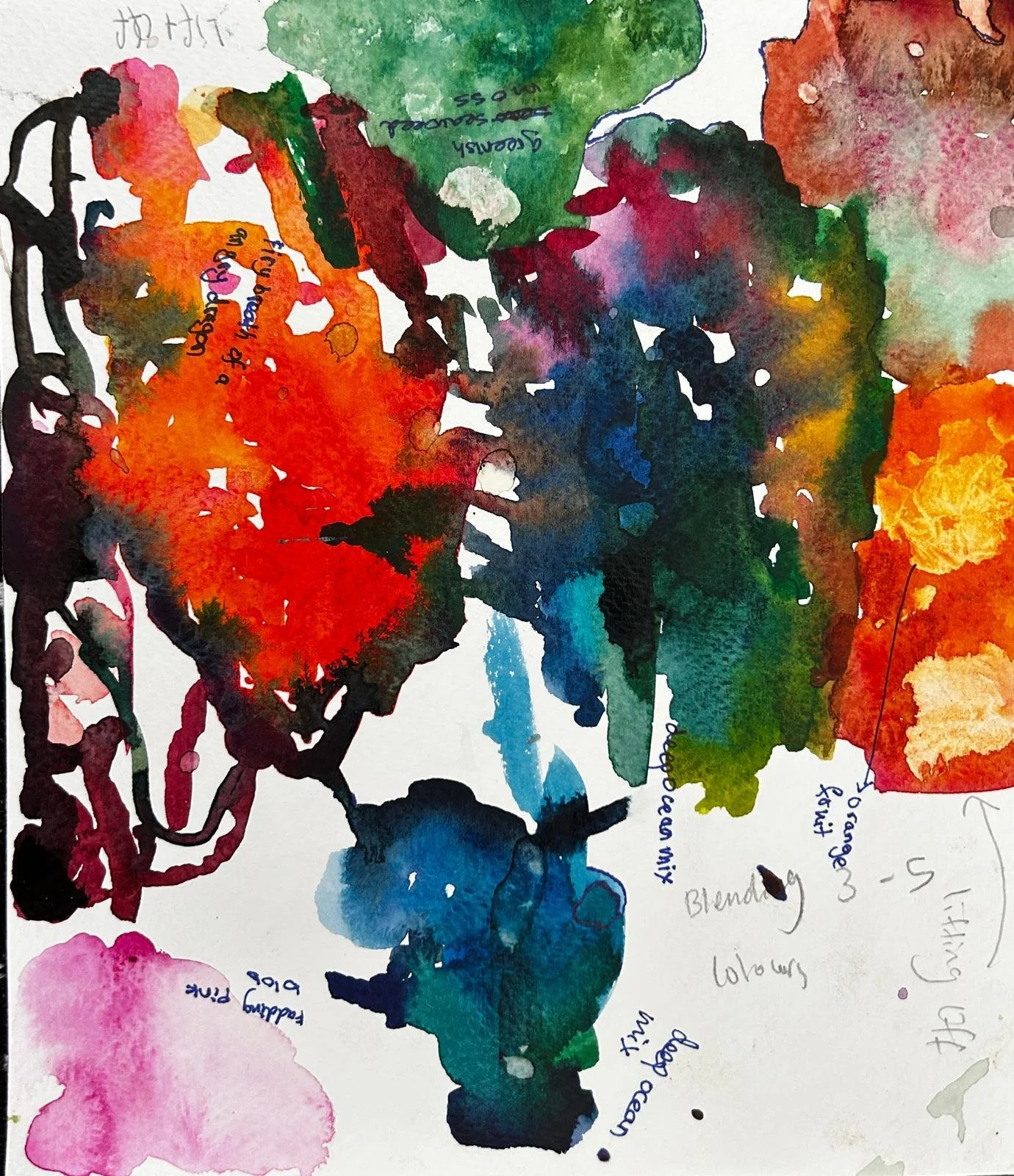 WhatsApp Image 2025-12-28 at 12.34.22 PM.jpeg