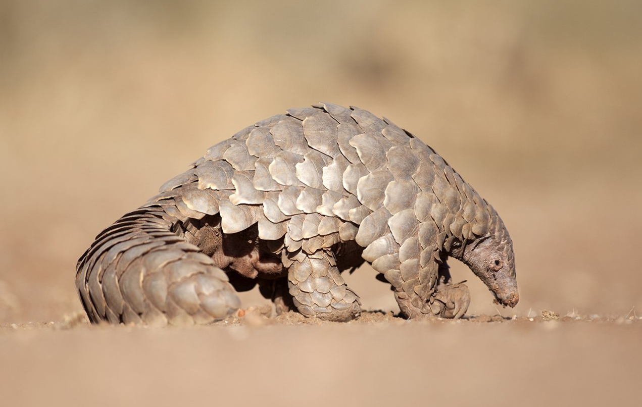 Screenshot (105).png