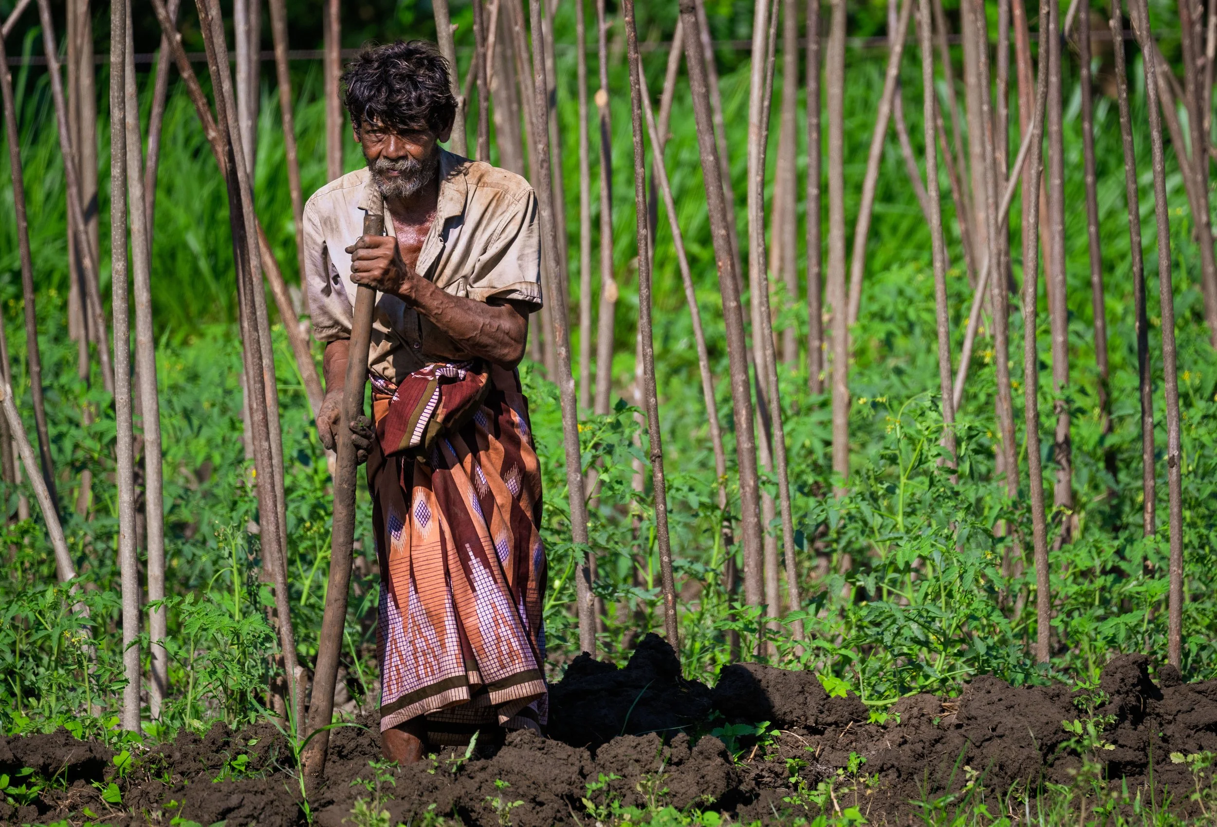 This man was toiling in extreme heat, cultivating bamboo in rural Sri Lanka.