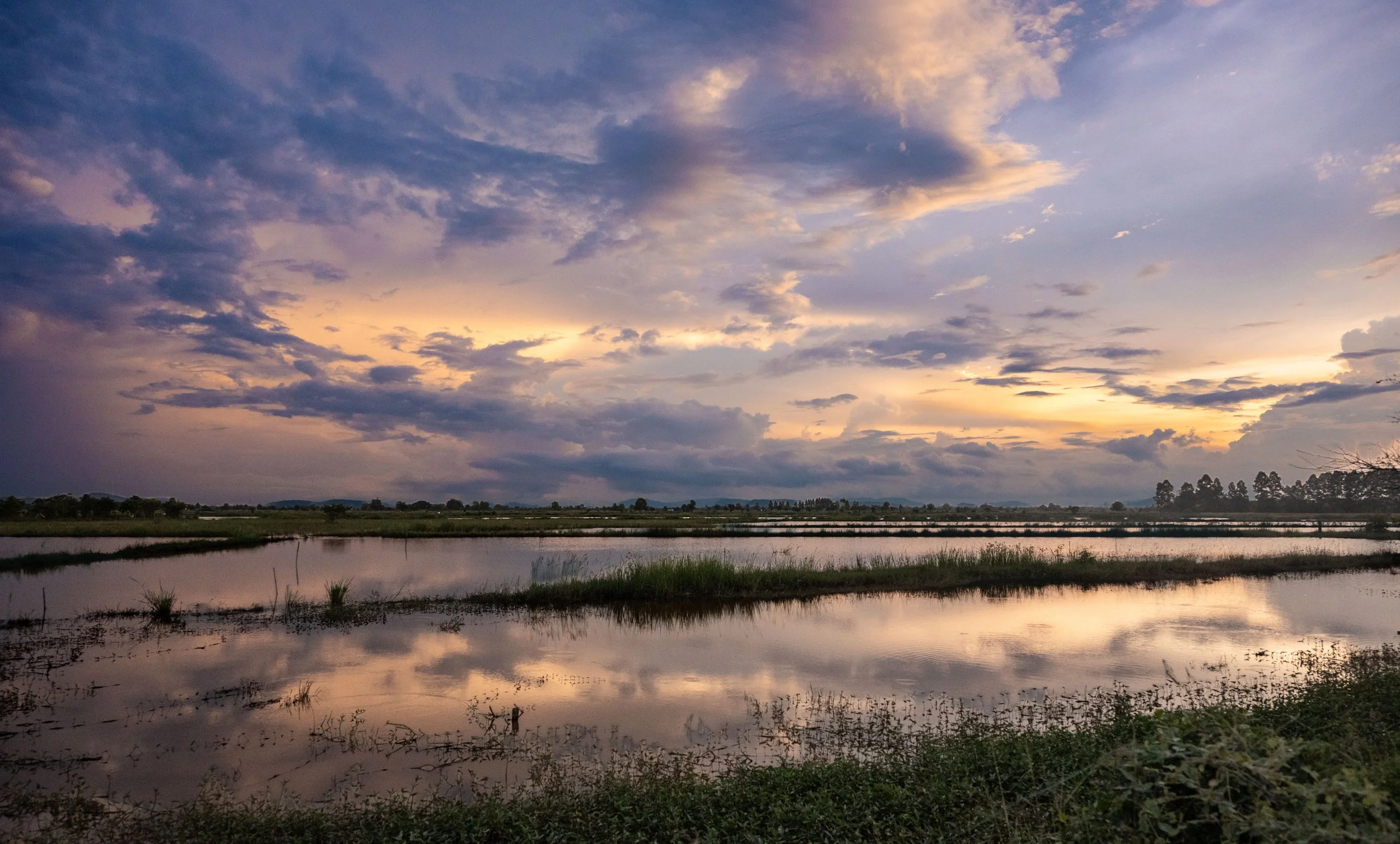 This photo, captured outside Battambang, depicts the land just after the rainy season.