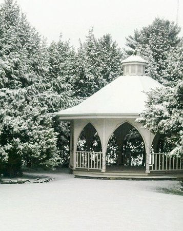 Nesselrod on the New - Winter Market