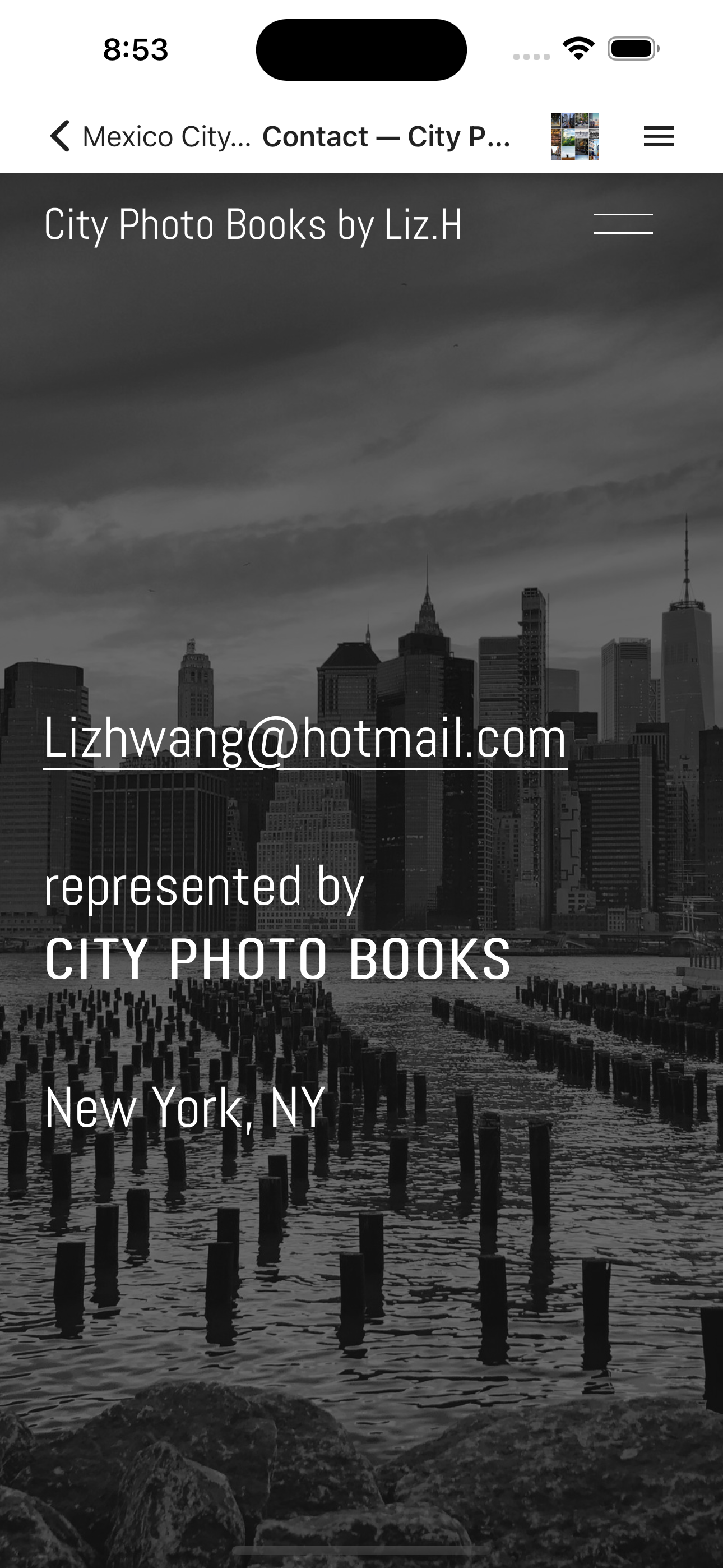 iPhone 15 Pro Max (6,9 Inch) (10).png