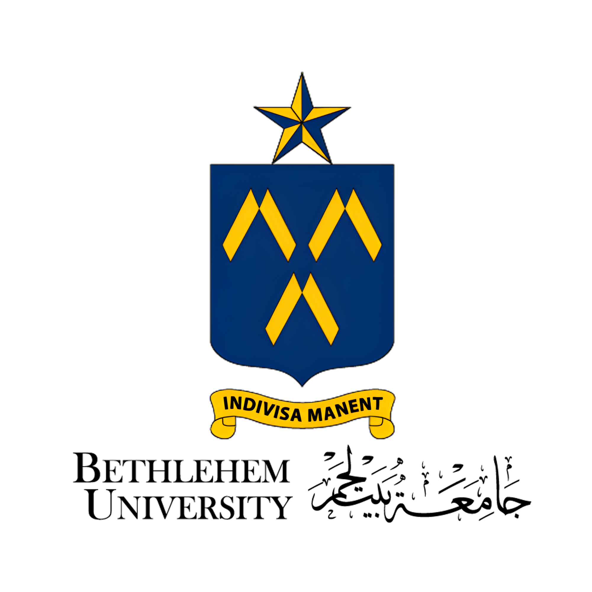 PIF Project  Roughtwork  Sara (37).png