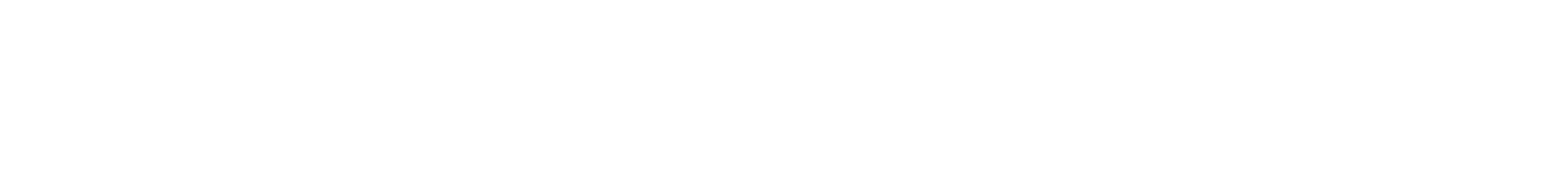 The Palestine Students Scholarship Fund