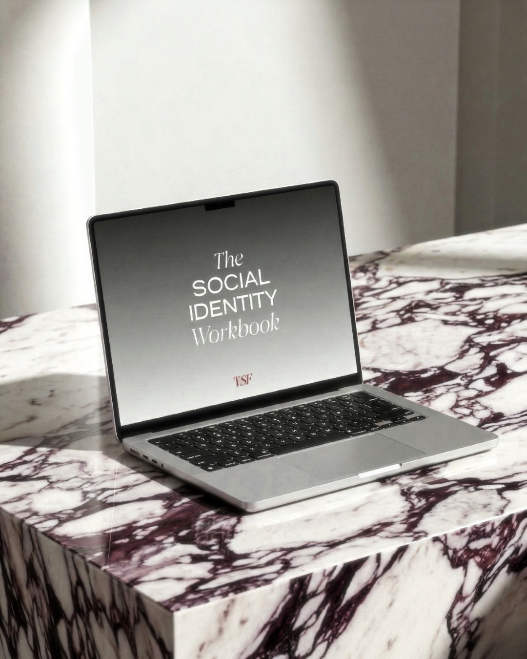 The Social Identity Workbook