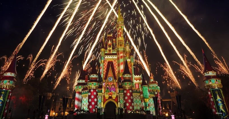 MVMCP 3.jpg