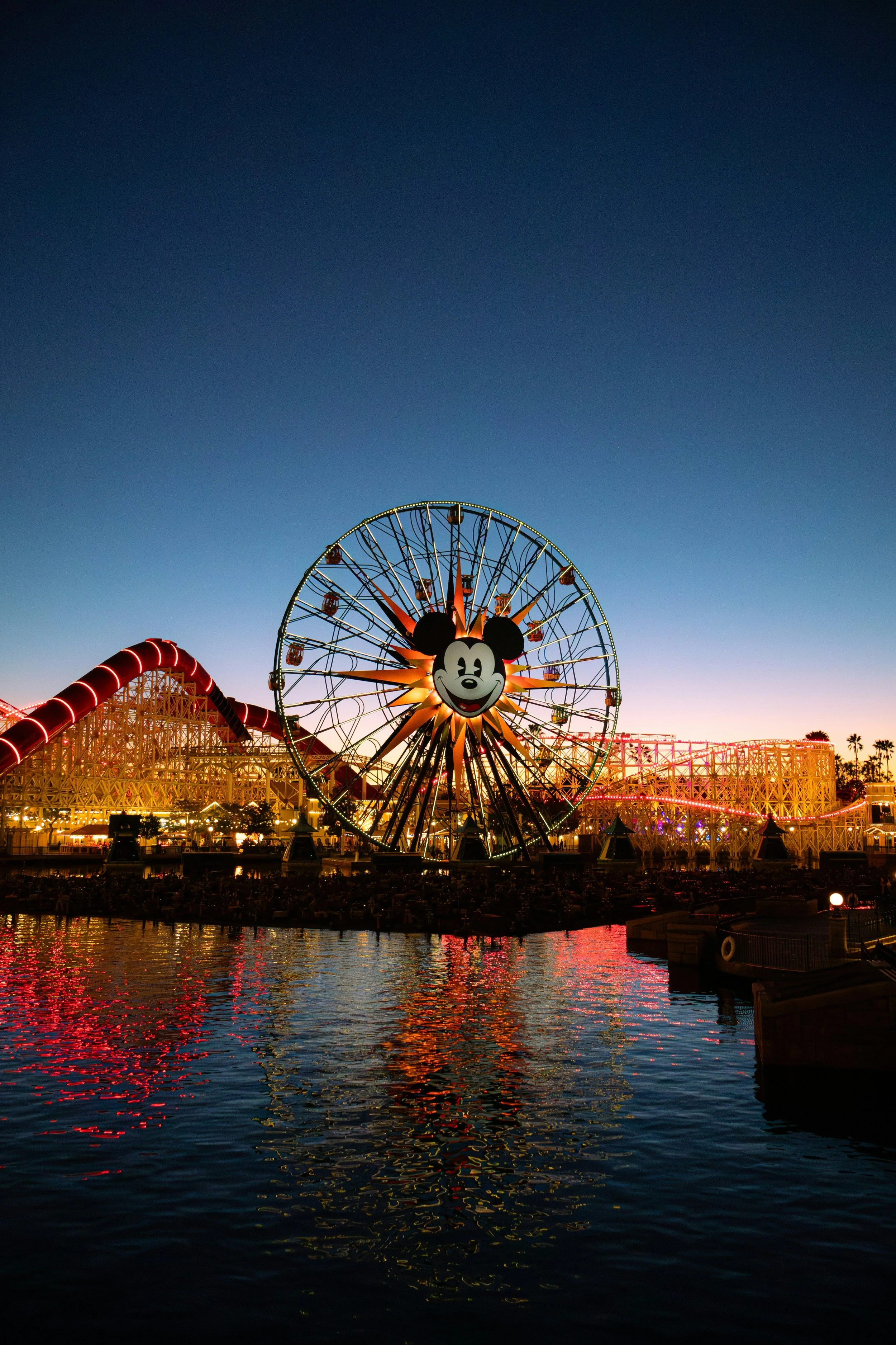 Disney Ferris Wheel