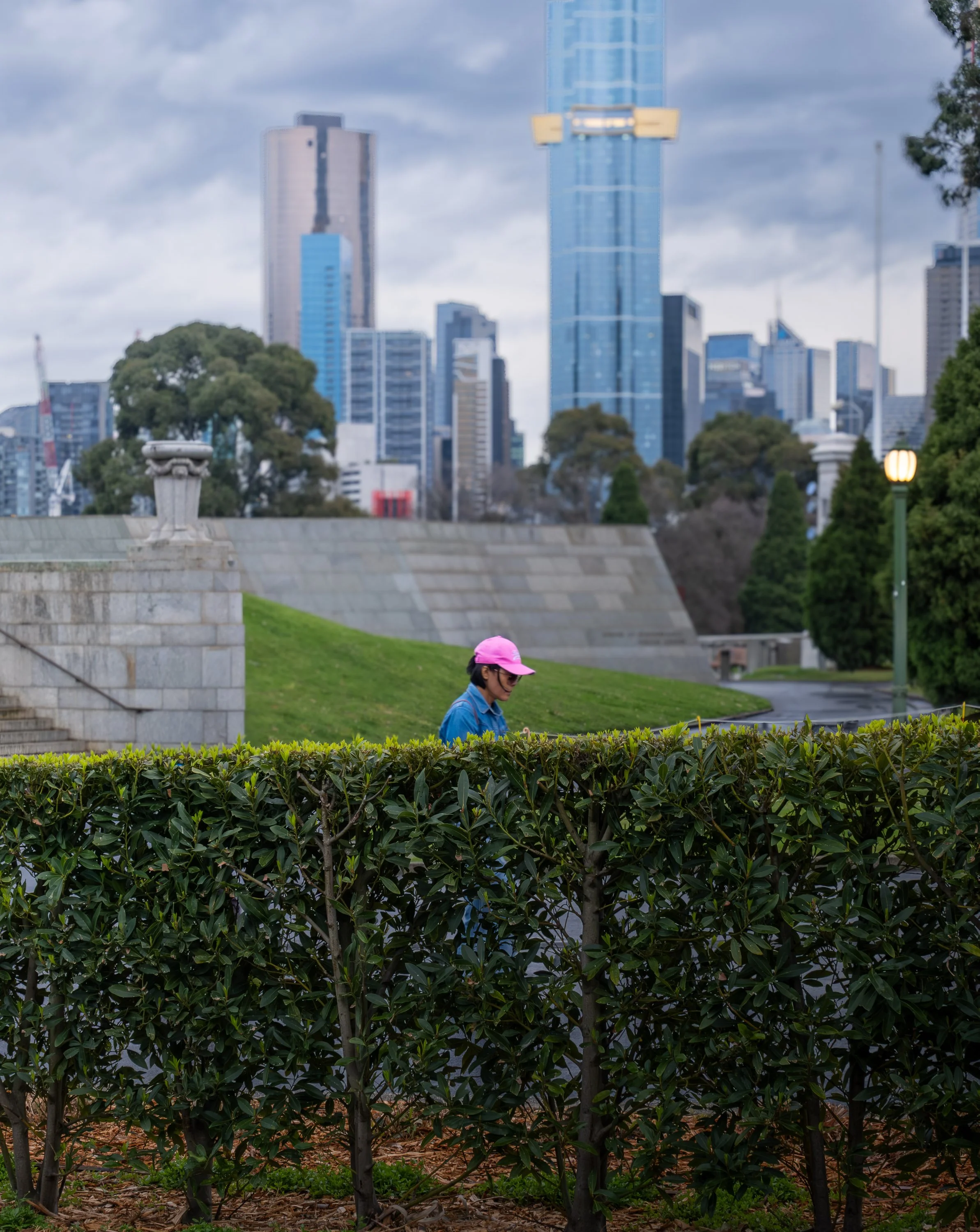 A woman wearing a pink cap and blue jacket walking behind a hedge in a city park with tall skyscrapers and a cloudy sky in the background.