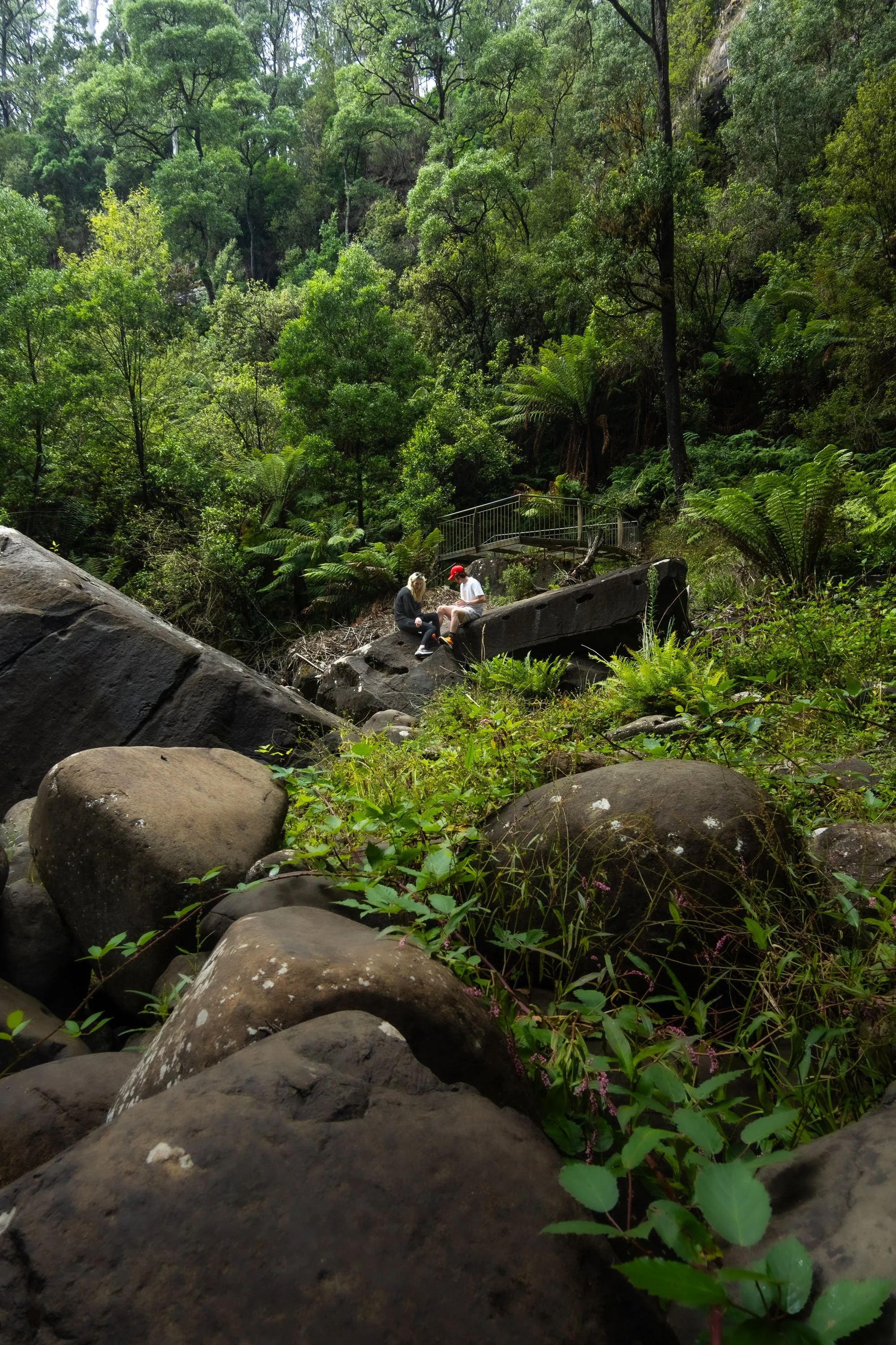 Two people sitting on a large rock in a lush green forest, surrounded by rocks and dense foliage.