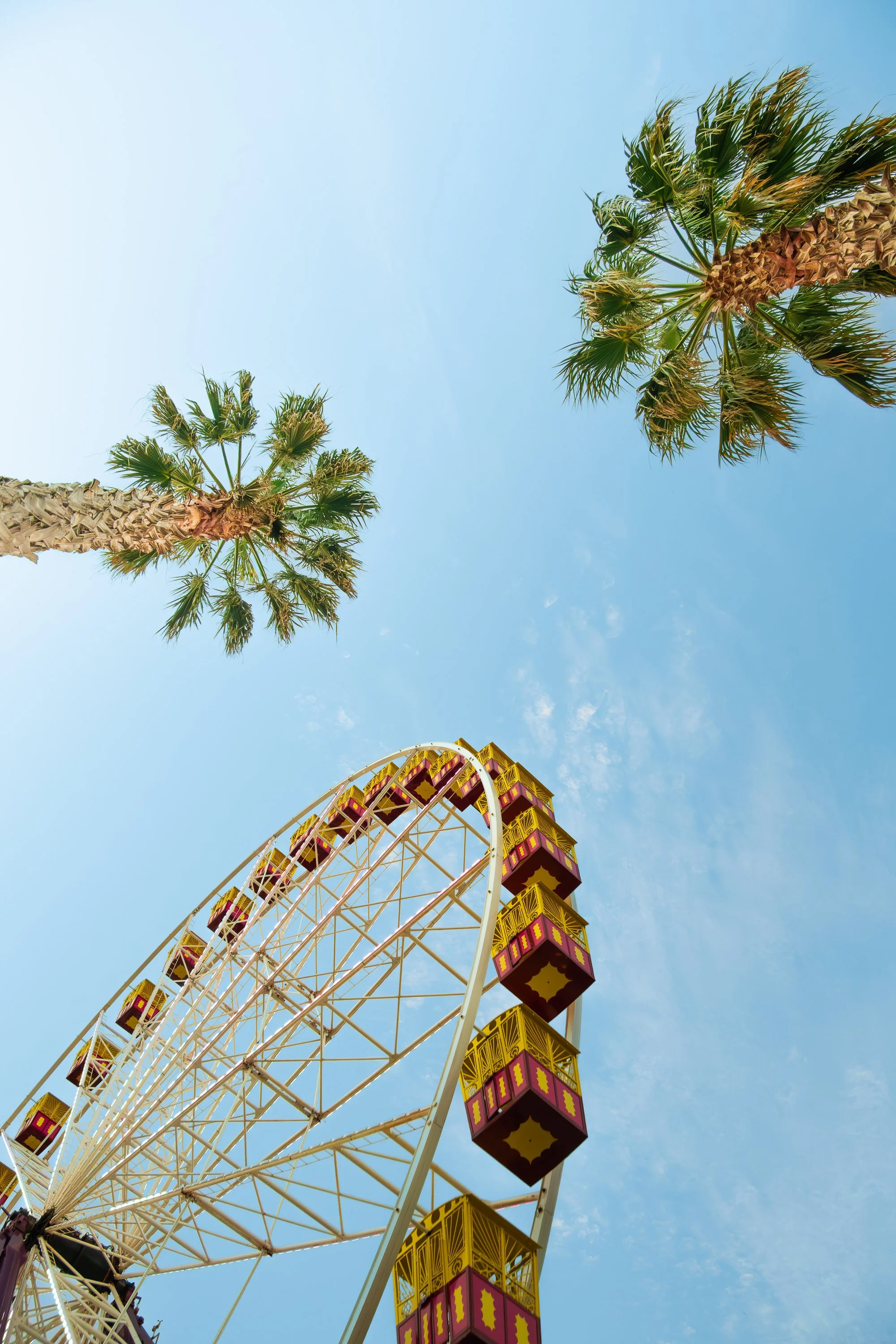 A view of a Ferris wheel with colorful cabins, seen from below against a bright blue sky with two tall palm trees on either side.