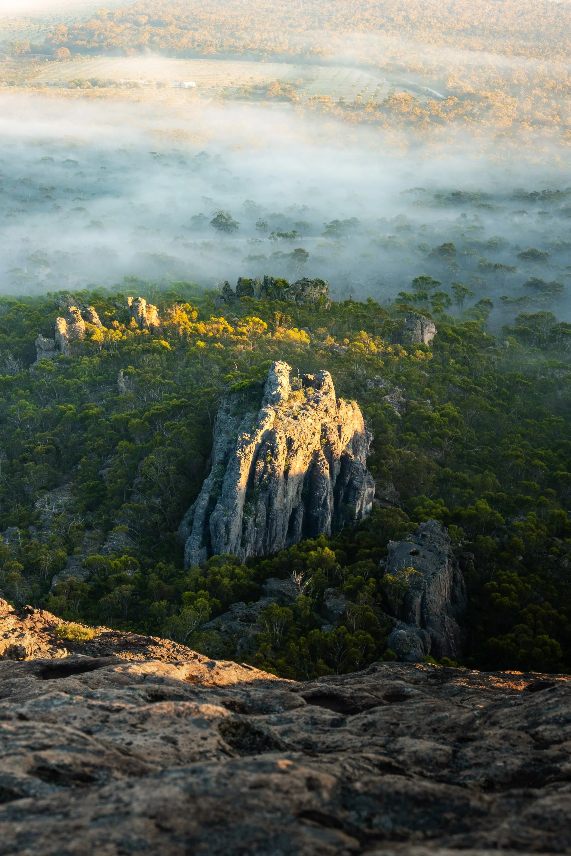 Aerial view of a rocky mountain surrounded by dense green forest and rolling fog with a sunrise or sunset light.