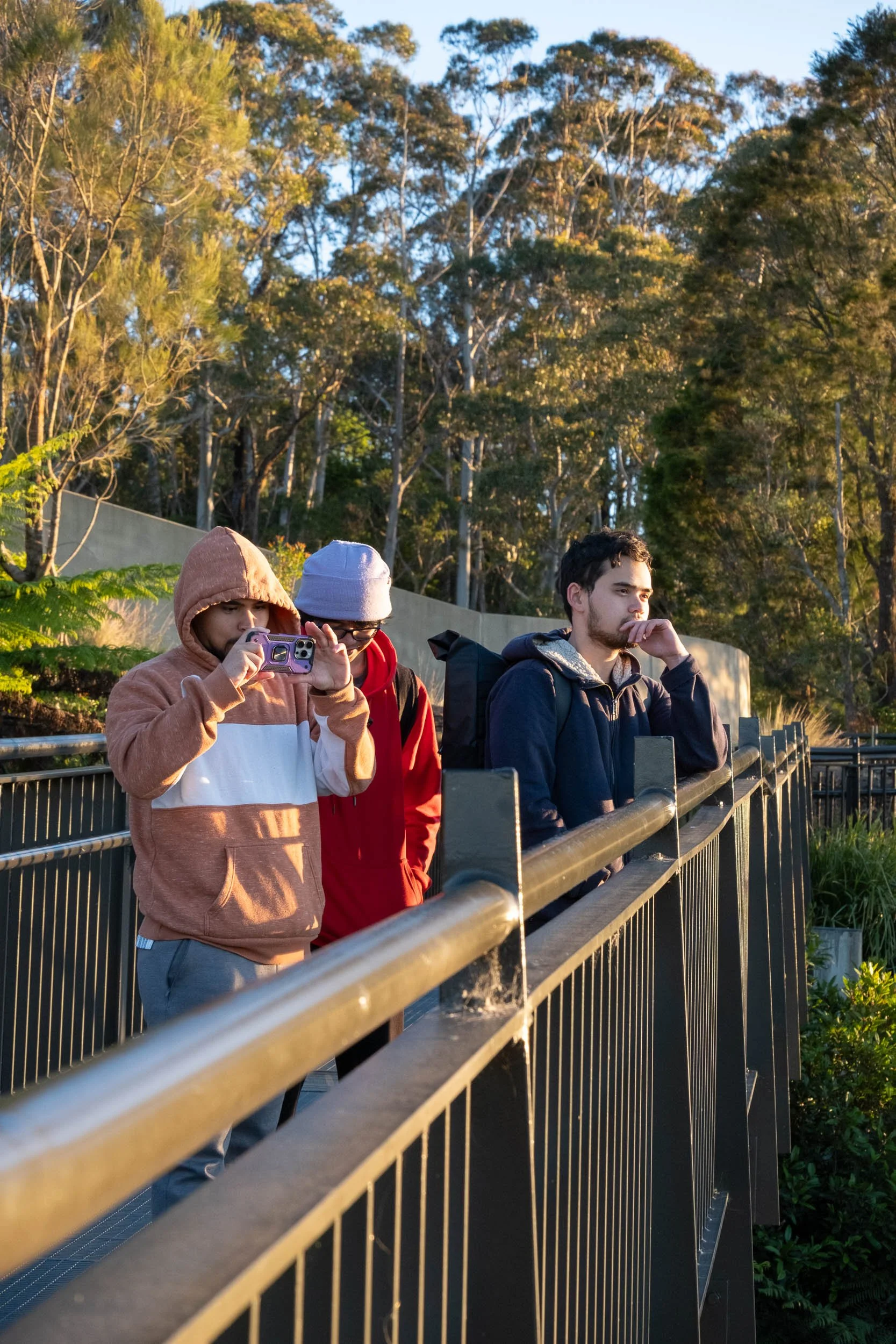 Three people standing on a viewing platform outdoors, looking at something in the distance with greenery and trees in the background during daylight.