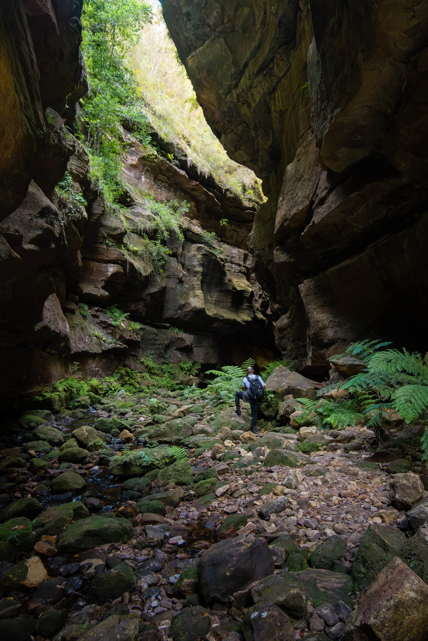 A person hiking through a rocky canyon with tall steep cliffs on either side, lush green vegetation, ferns, and a small stream.
