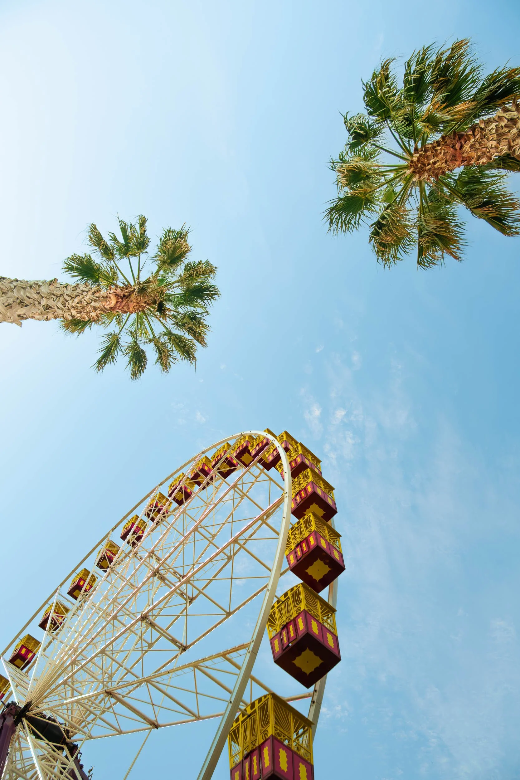 From a low-angle view, a colorful Ferris wheel with pink and yellow cabins stands against a clear blue sky, flanked by two tall palm trees.