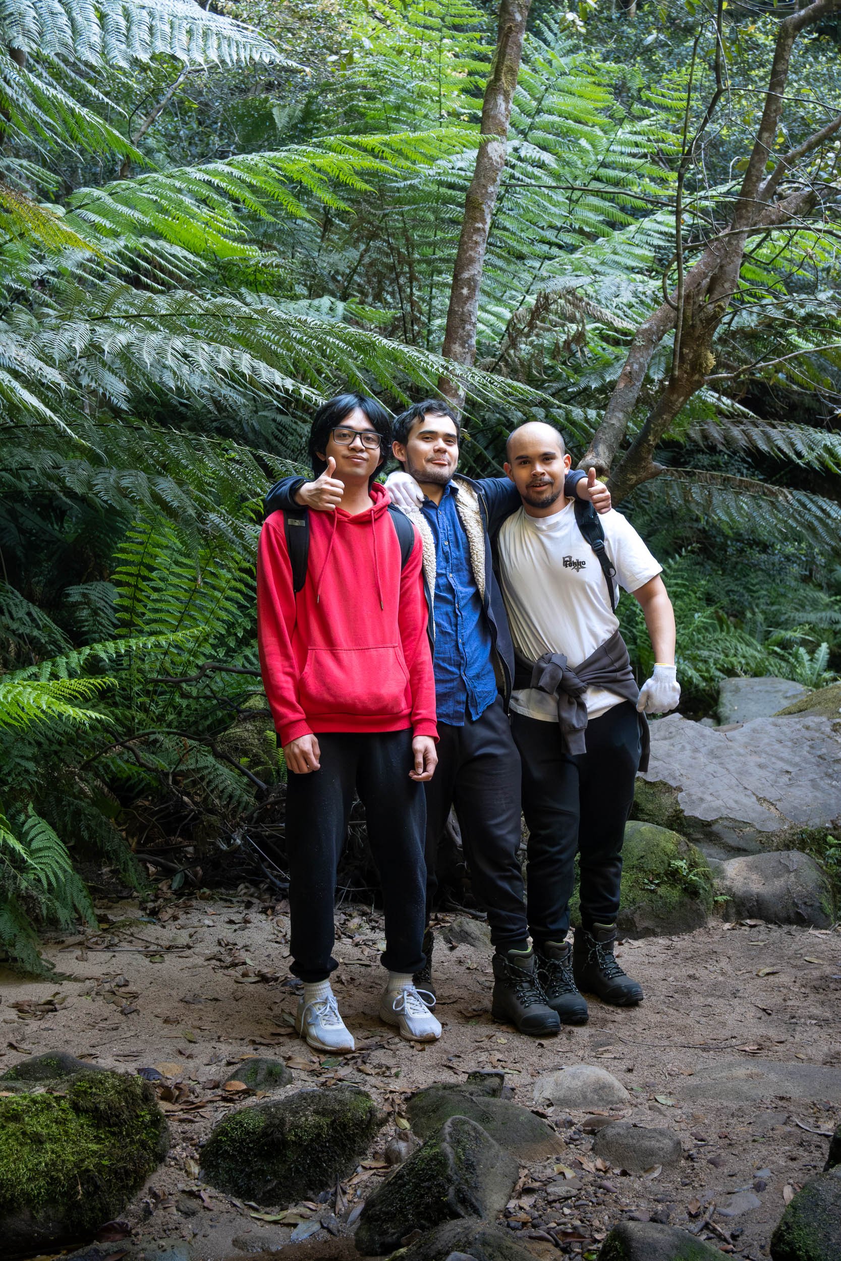 Three men standing together in a lush green forest, smiling and posing for a photo, with one man giving a thumbs-up.