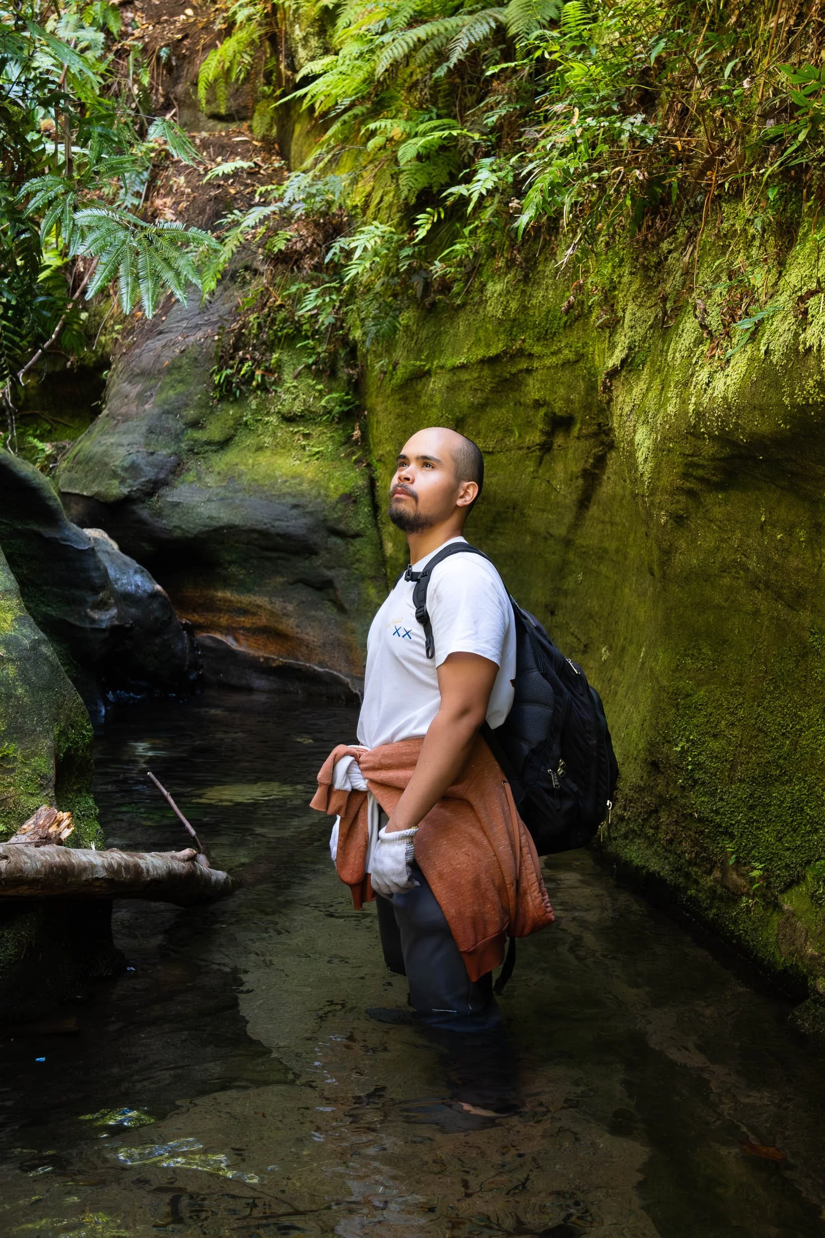A man standing in a shallow creek surrounded by lush green moss-covered rocks and dense foliage in a forest, looking upward.