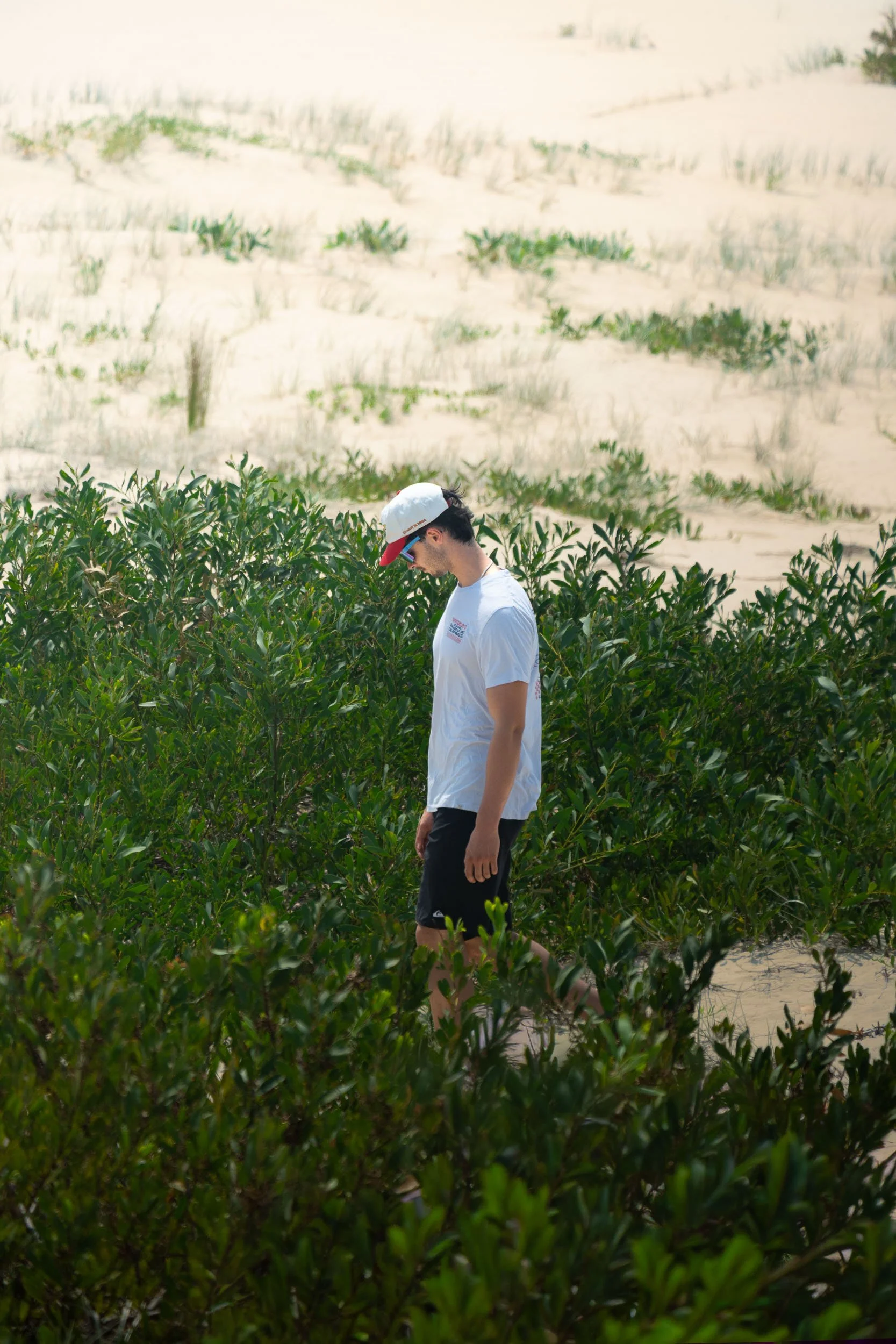 Young man in white t-shirt, black shorts, white cap, with a red bill, walking through green bushes on sandy terrain, with a sandy hill in the background.