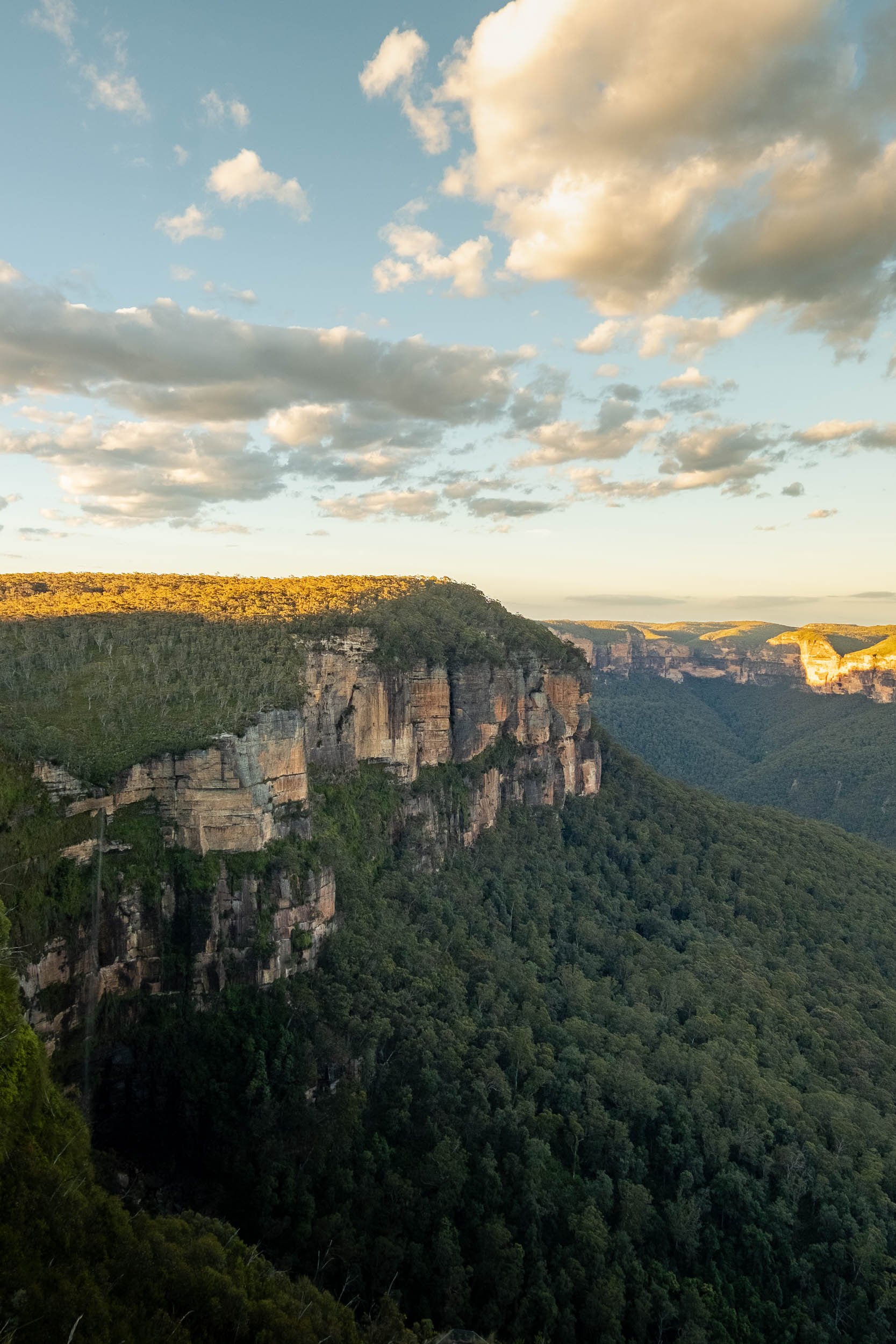 Scenic view of cliffs and lush green forest under a partly cloudy sky, likely at a national park or canyon.