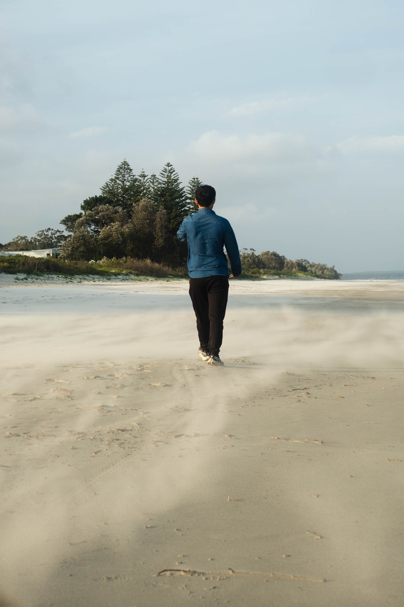 A person walking alone on a sandy beach with a cluster of pine trees in the background and a cloudy sky.