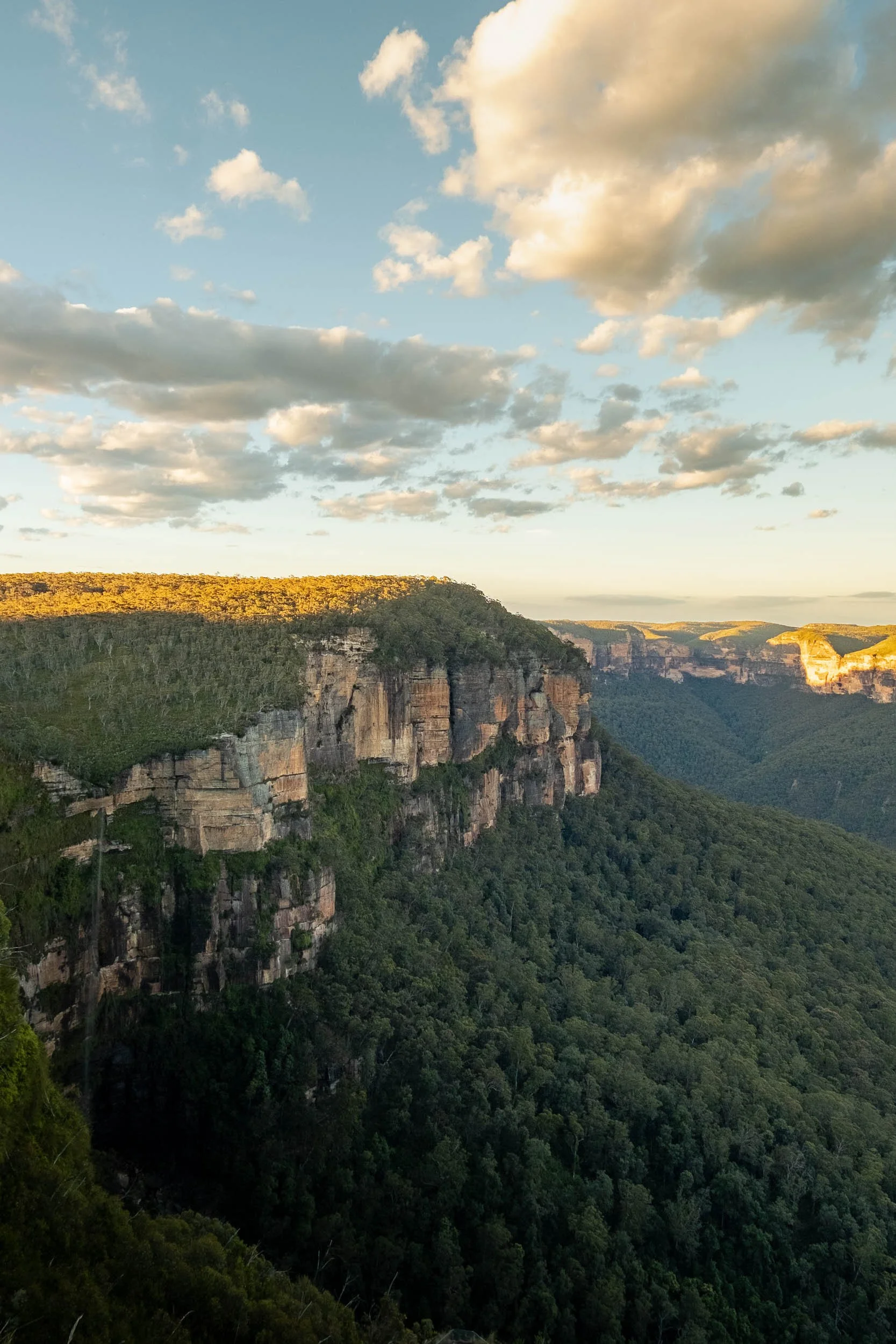View of lush green forested canyon with towering cliffs under partially cloudy sky during sunset.