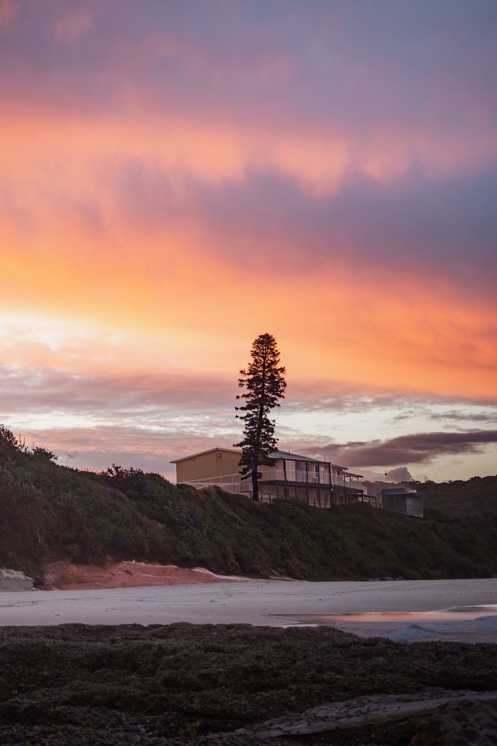 A beach scene at sunset with a sandy shoreline, rocky foreground, hillside with shrubs, a tall tree, and modern houses on the hill against a sky with pink, purple, and orange clouds.