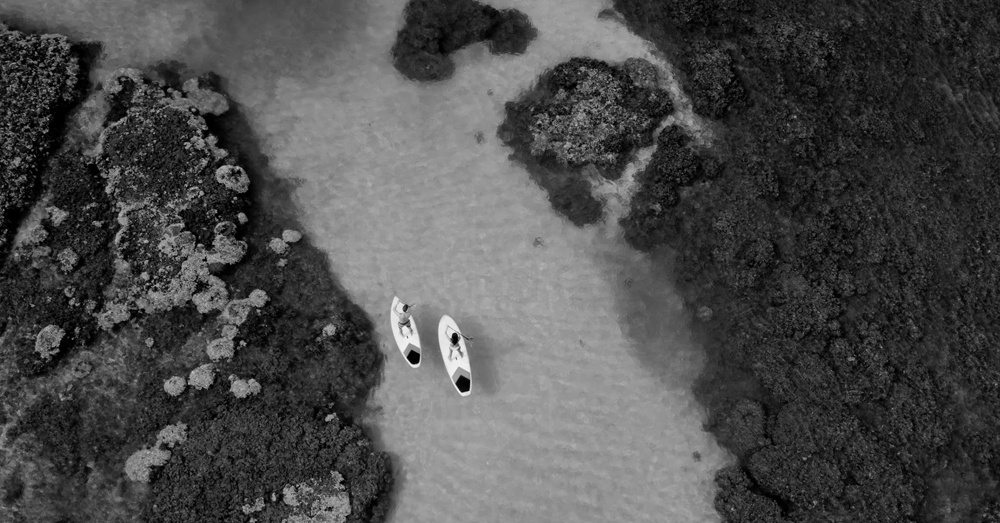 Paddleboard Static.jpg