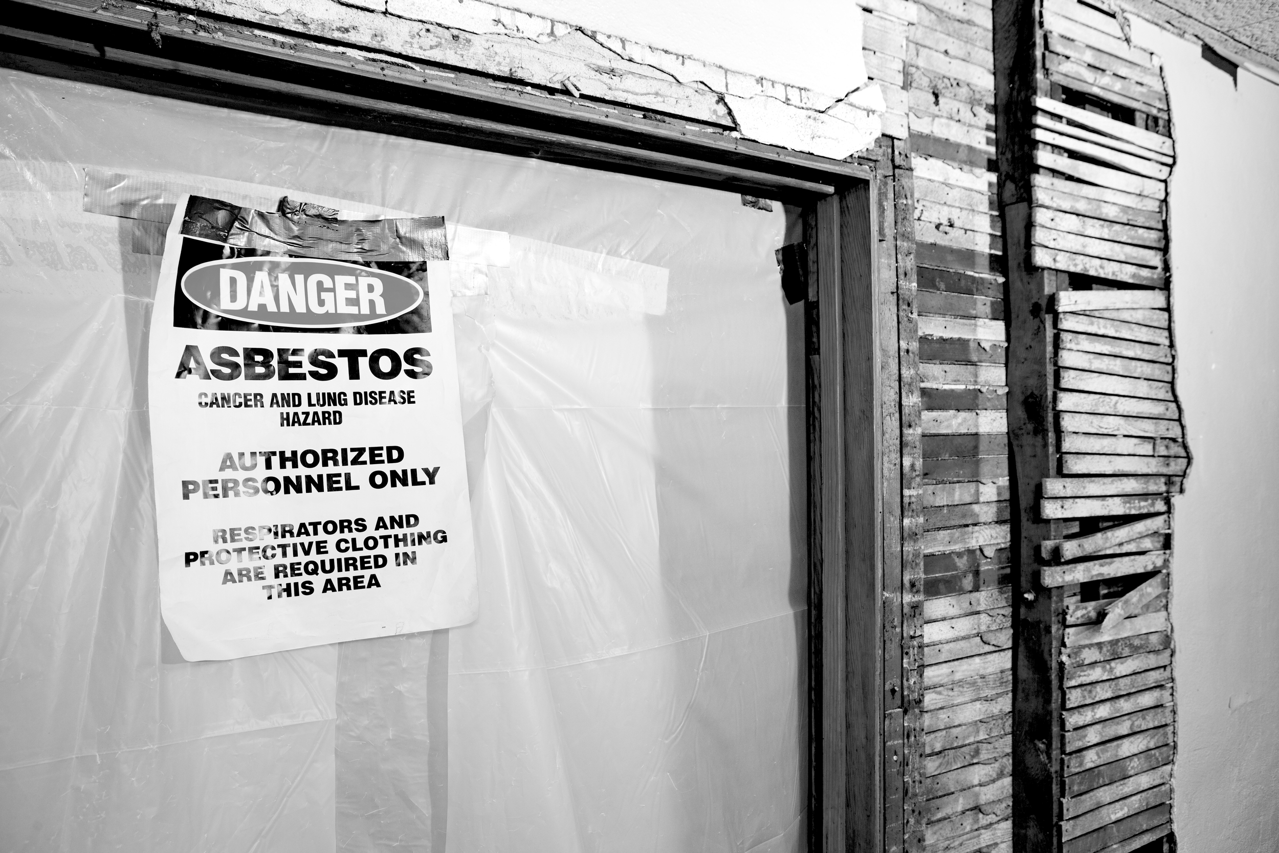 Is AI “asbestos in the walls of our tech society”?