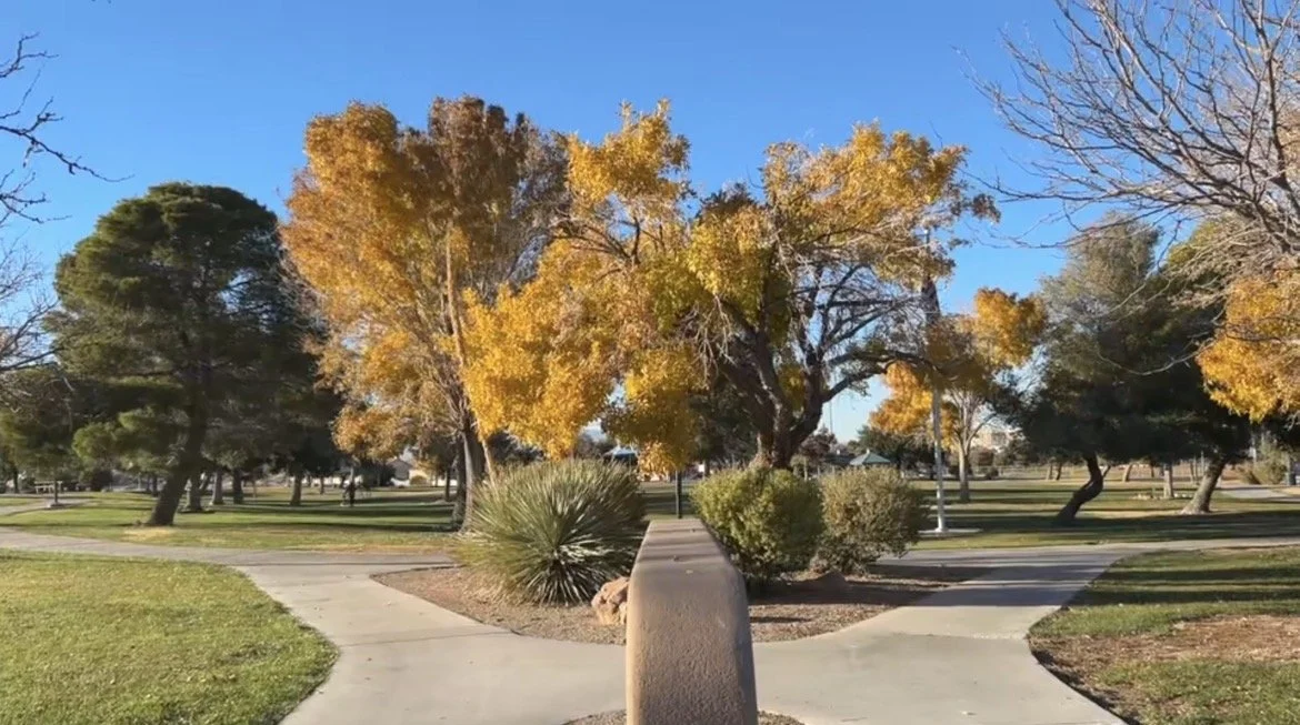 Revisions of a Manifesto