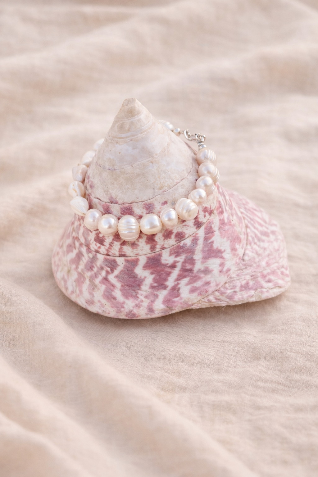 ChatGPT Image Dec 29, 2025, 12_41_06 PM.png