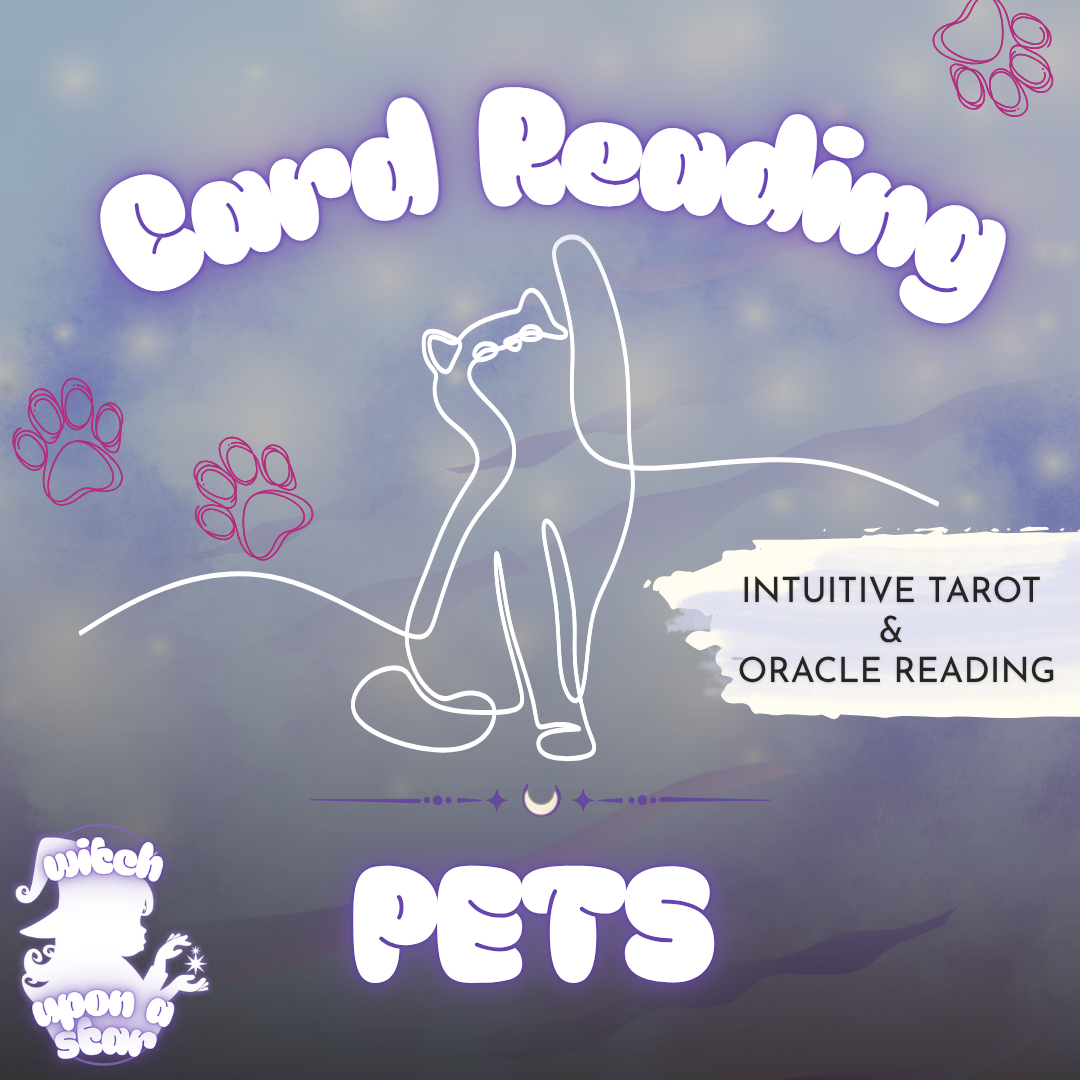 Pet Intuitive Card Reading