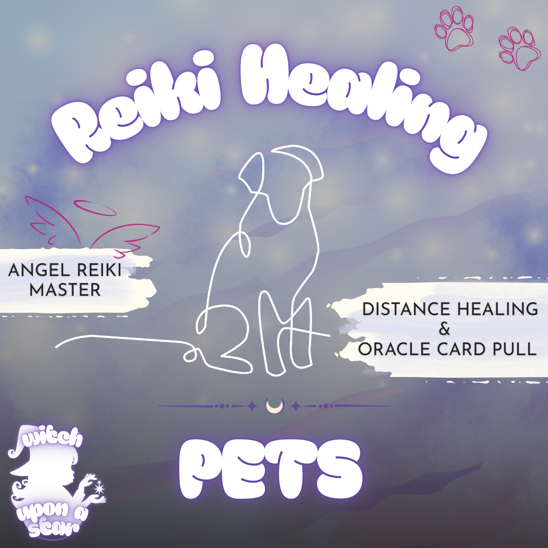 Pet Angel Reiki Healing Distance