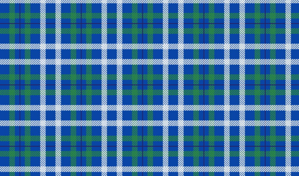 baby blue tartan.png